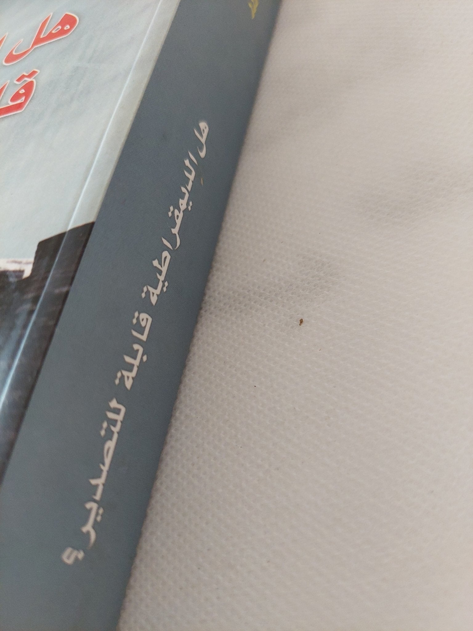 هل الديمقراطية قابلة للتصدير / رولتان بارانى وروبرت موزر - متجر كتب مصر - المكتبة الفلسفية