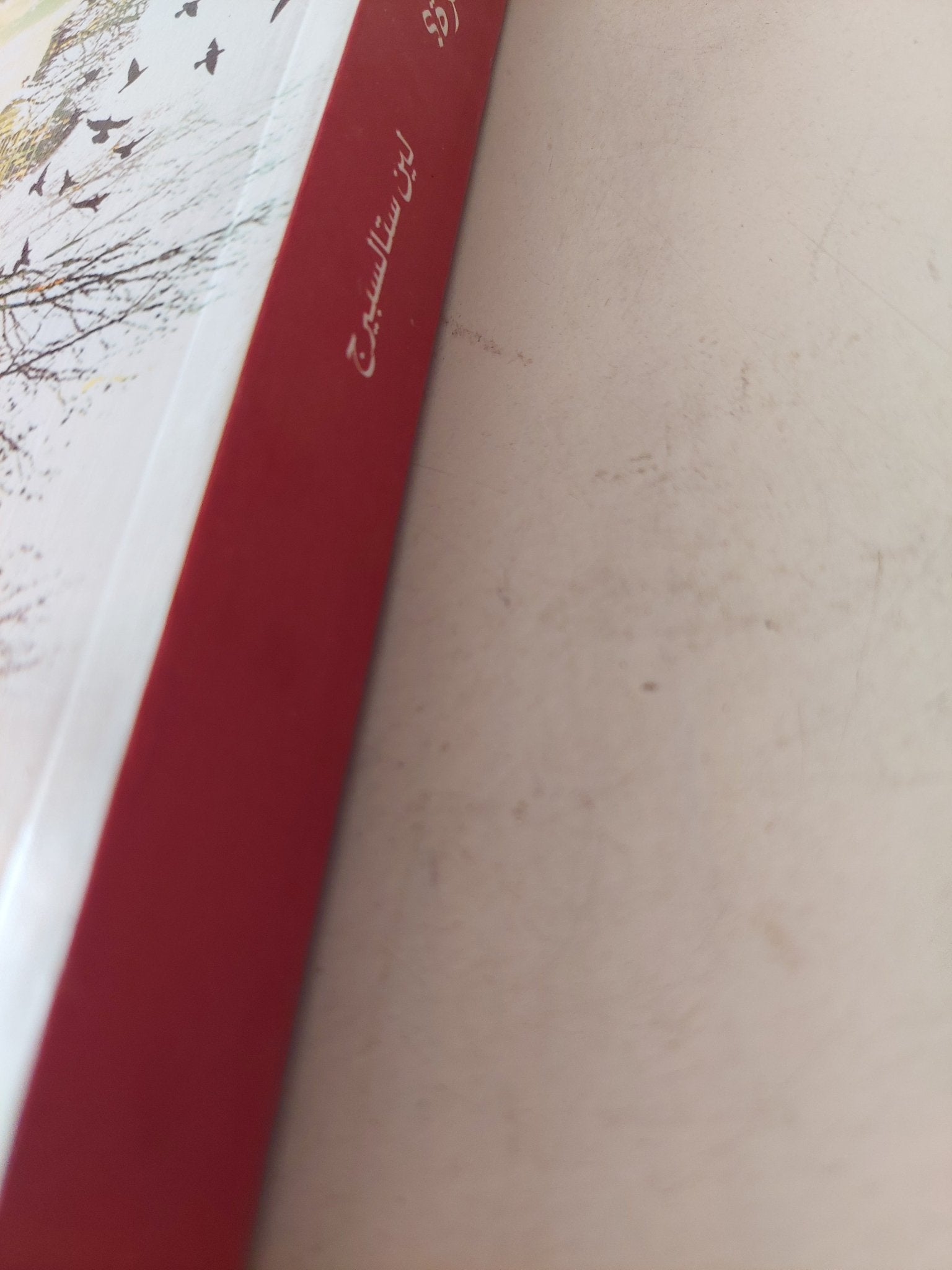 هل أنا حرة ؟ / لين ستالسبيرج - متجر كتب مصر - متجر كتب مصر