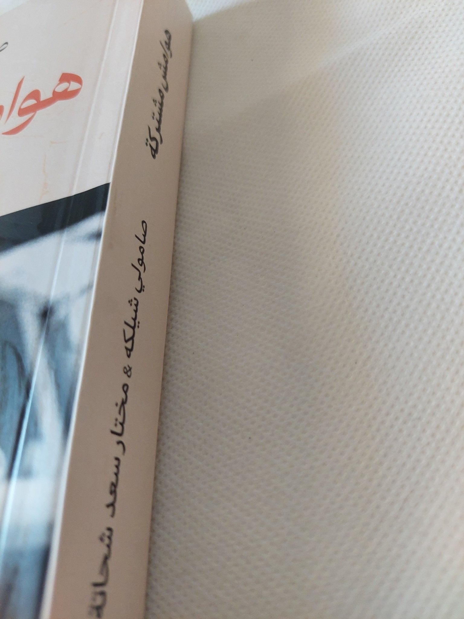 هوامش مشتركة / صامولى شيلكه ومختار سعد شحاتة - متجر كتب مصر - المكتبة الفلسفية