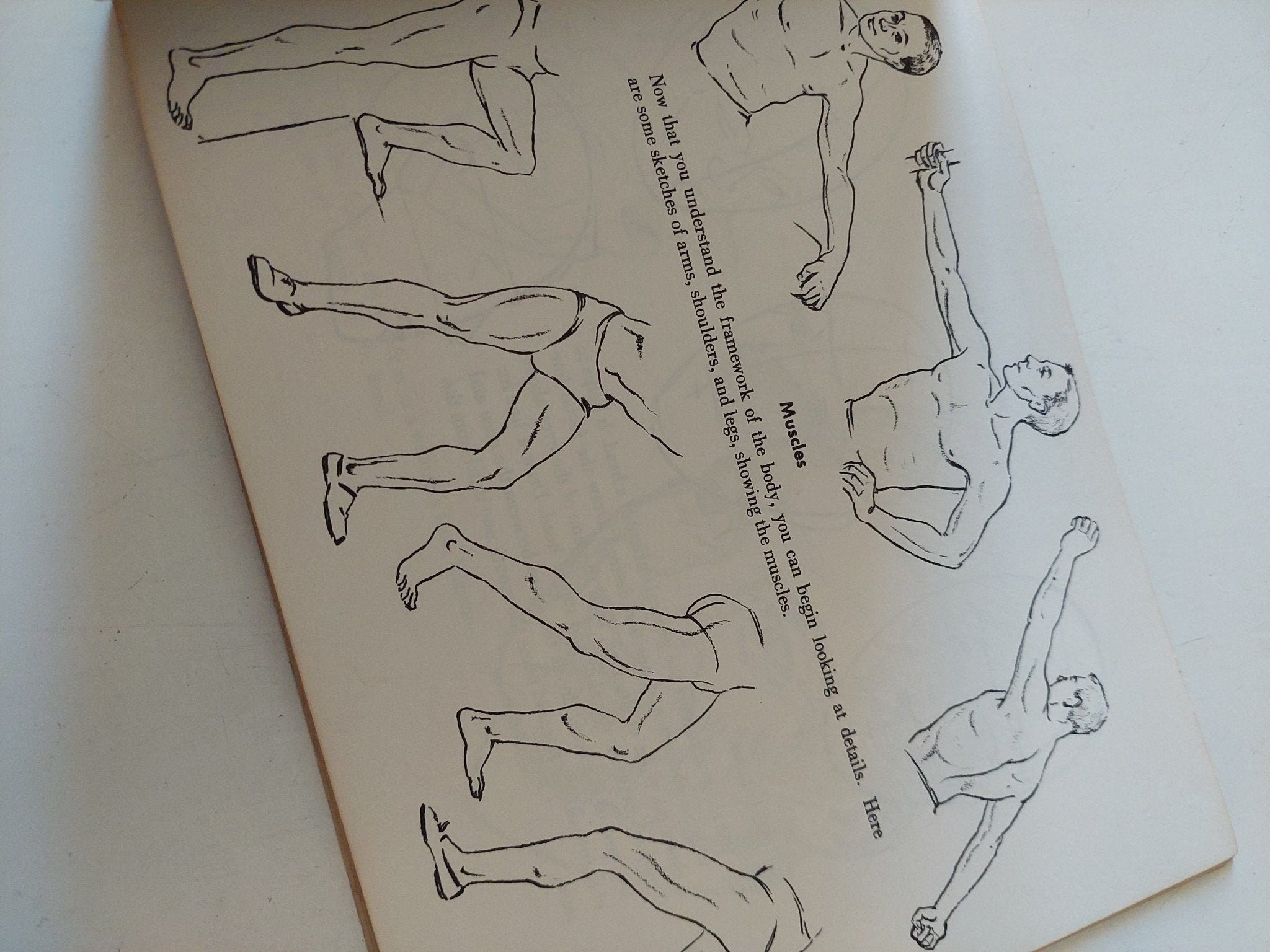 How to sketch - قطع كبير ملحق بالصور - متجر كتب مصر - متجر كتب مصر
