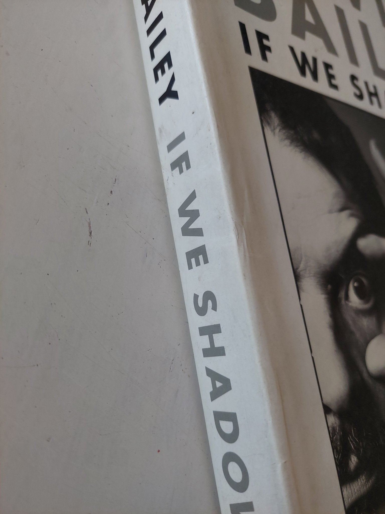 If we shadows / David Bailey - قطع كبير هارد كفر ملحق بالصور - متجر كتب مصر - متجر كتب مصر