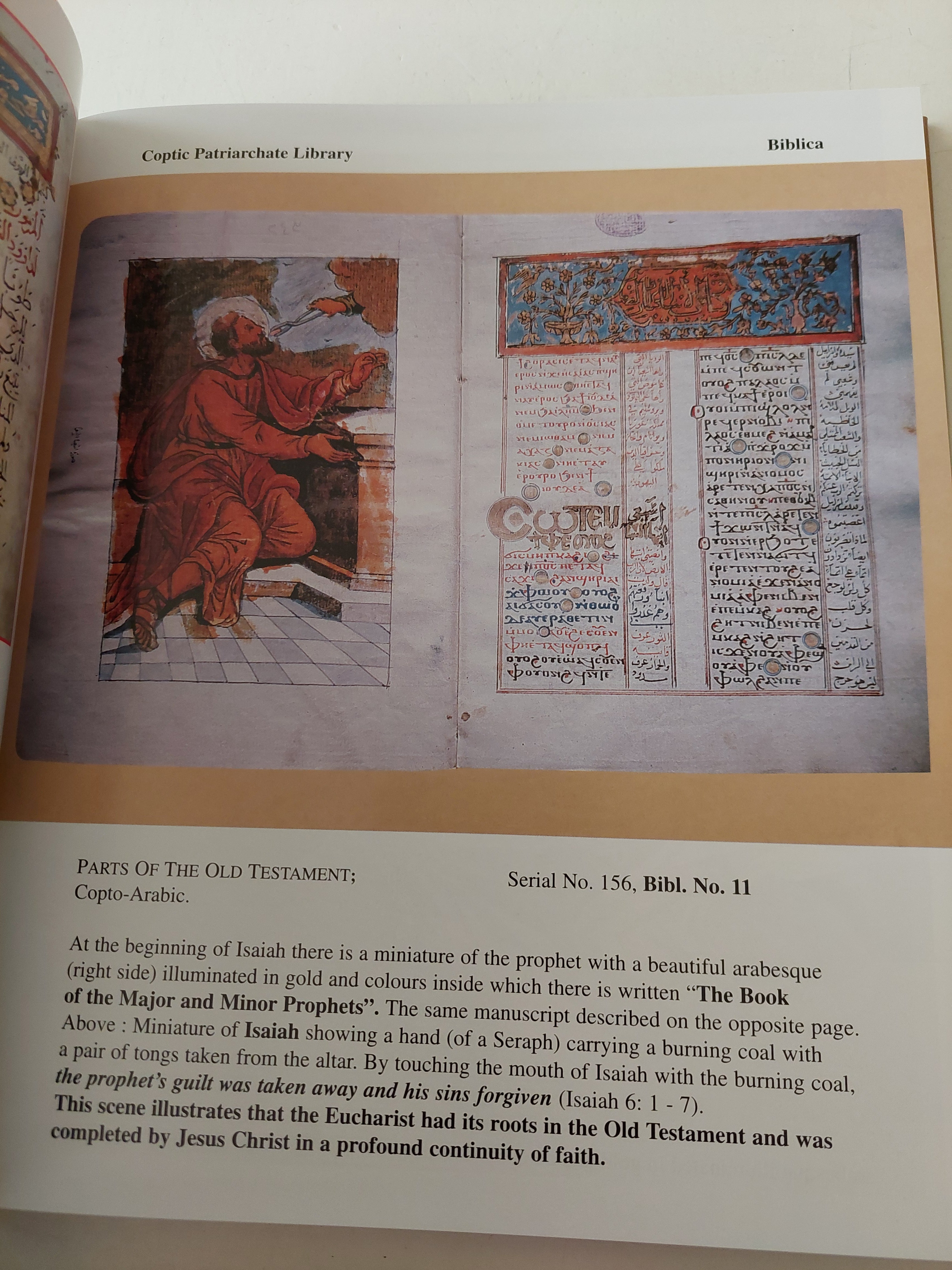 Illustrations from Coptic Manuscripts - قطع كبير ملحق بالصور/ هارد كفر - متجر كتب مصرمتجر كتب مصر