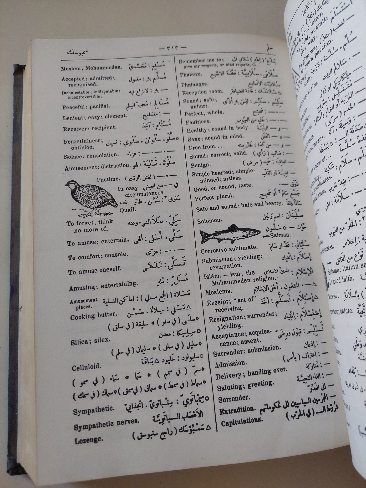 قاموس الياس العصرى / الياس أنطون الياس - هارد كفر - متجر كتب مصر - المكتبة الفلسفية