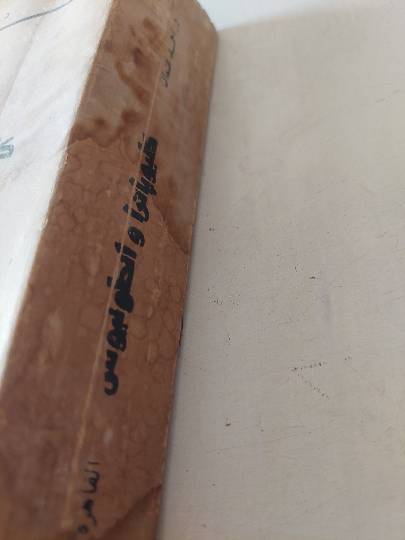 كليوباترا وأنطونيوس .. دراسة فى بلوتارخوس وشكسبير وشوقى / أحمد عثمان - إهداء خاص - متجر كتب مصر - متجر كتب مصر