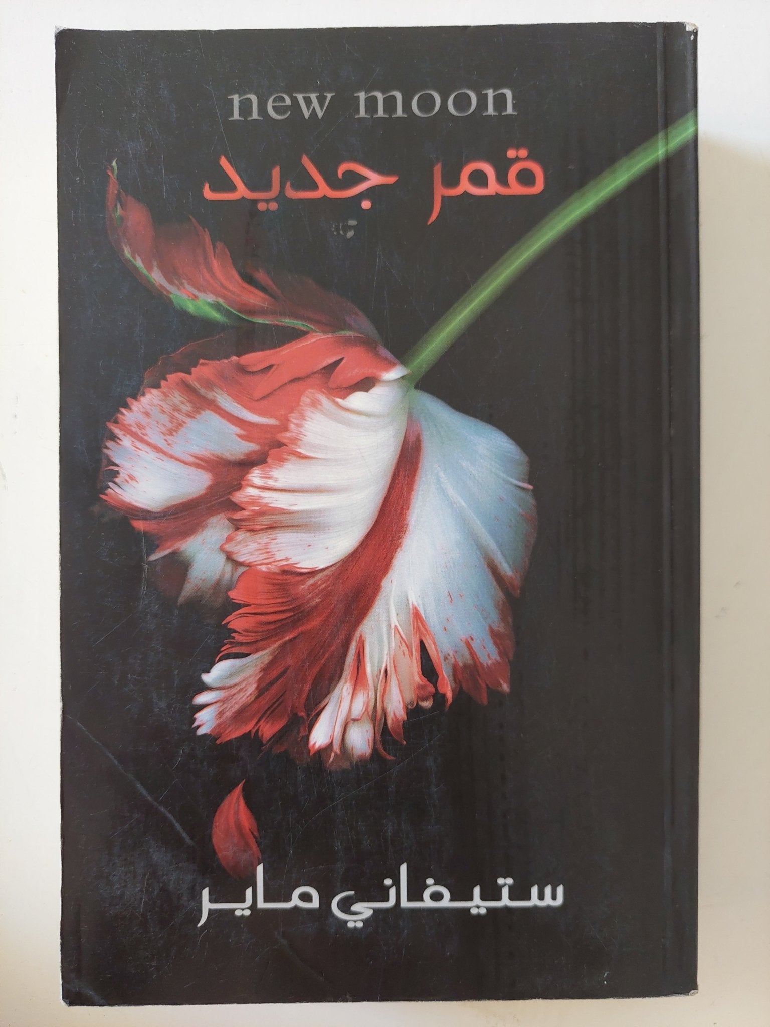 قمر جديد / ستيفانى ماير - متجر كتب مصر - المكتبة الفلسفية
