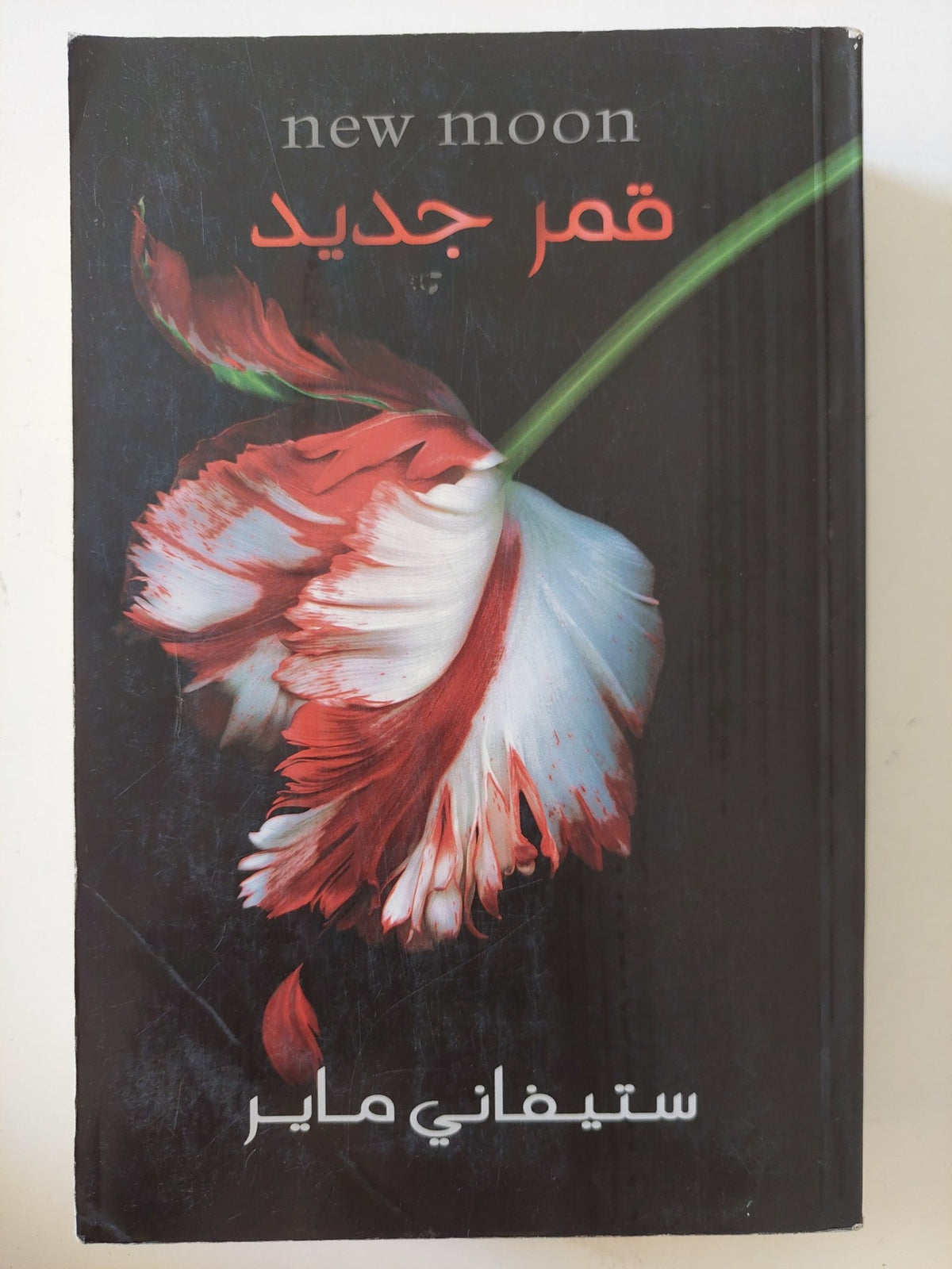 قمر جديد / ستيفانى ماير - متجر كتب مصر - المكتبة الفلسفية