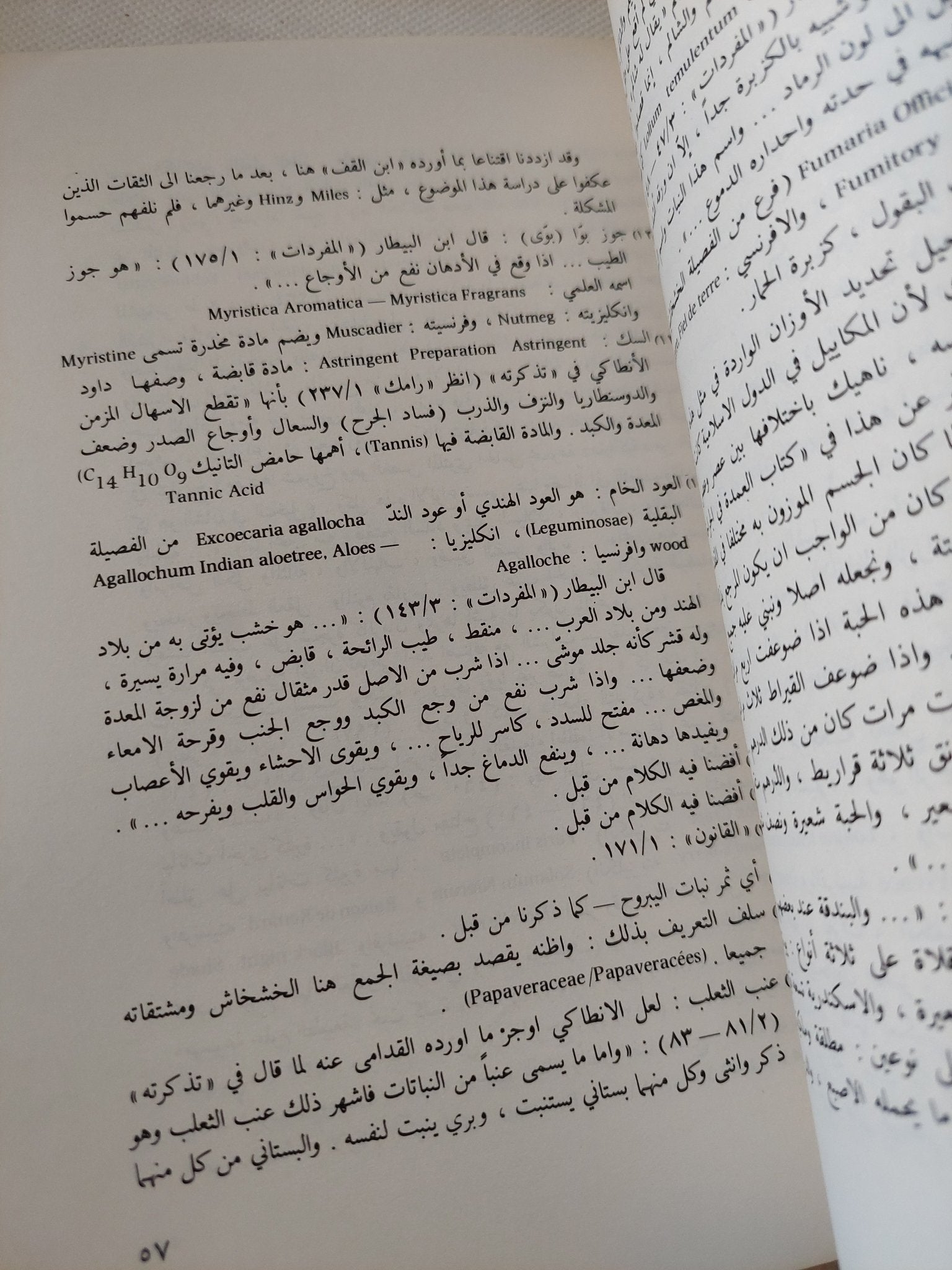 كنوز من الفكر العربى / أسامة عانوتى - متجر كتب مصر - المكتبة الفلسفية