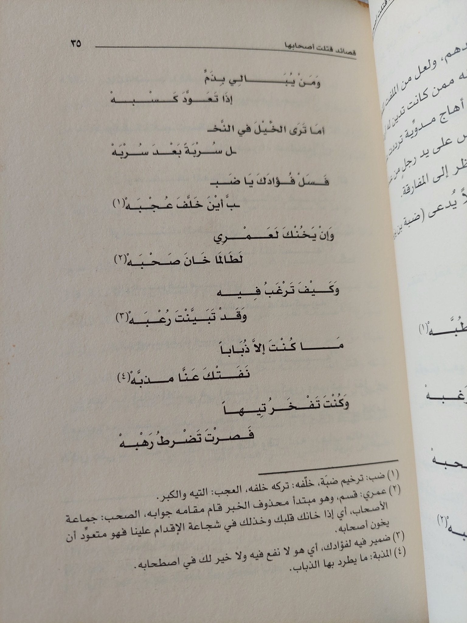 قصائد قتلت أصحابها / عائض القرنى - متجر كتب مصر - المكتبة الفلسفية