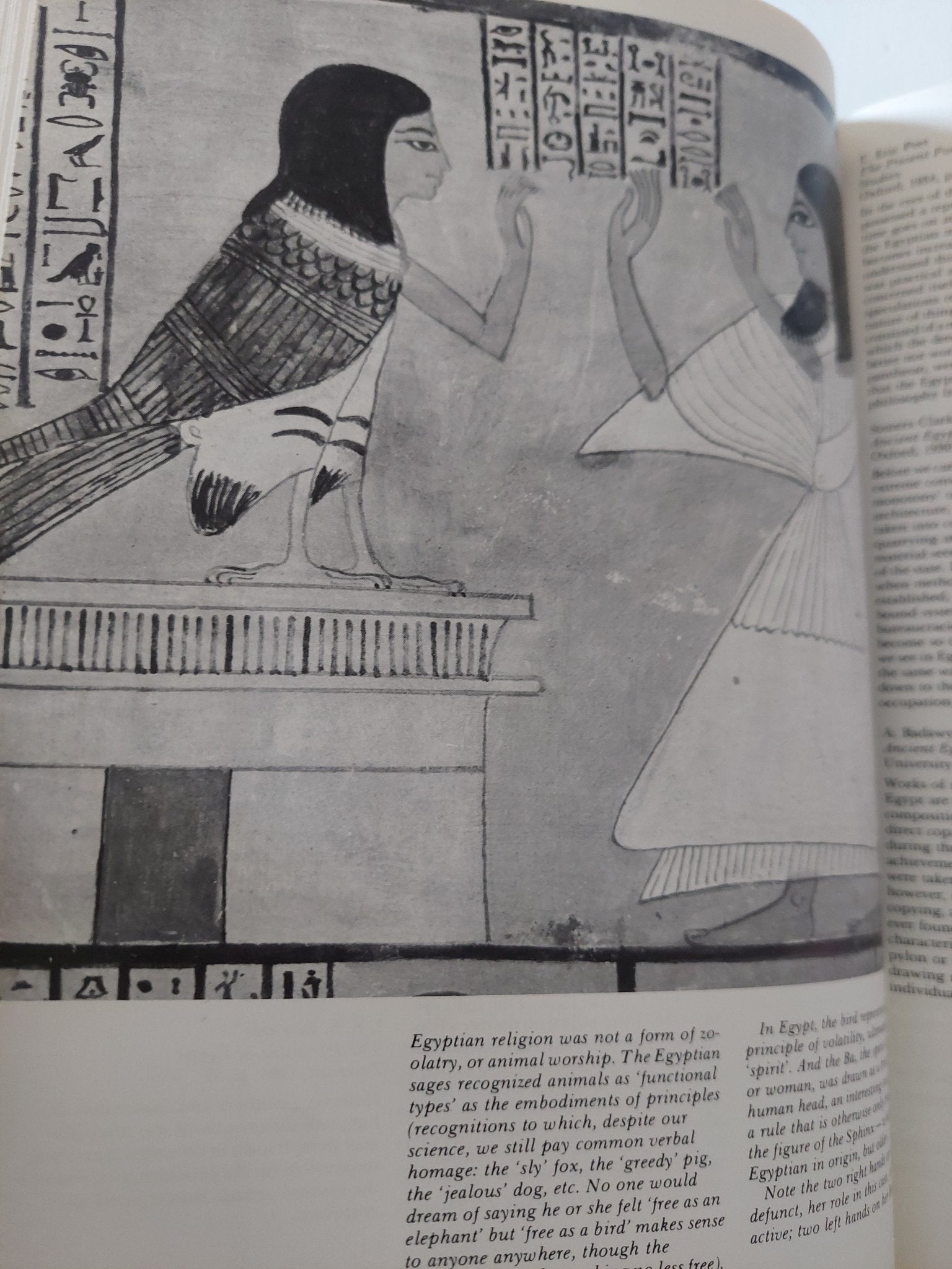 قطع كبير ملحق بالصور/ هارد كفر Serpent in the Sky: The High Wisdom of Ancient Egypt - John Anthony West - متجر كتب مصر - متجر كتب مصر