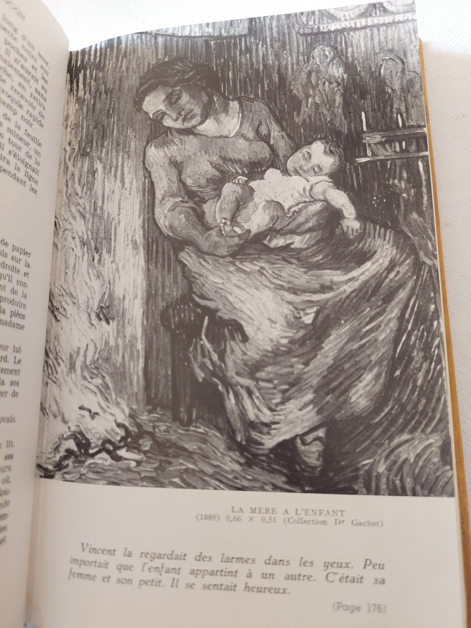 La vie passionnee de Vincent Van Gogh - هارد كفر ملحق بالصور - متجر كتب مصر - متجر كتب مصر