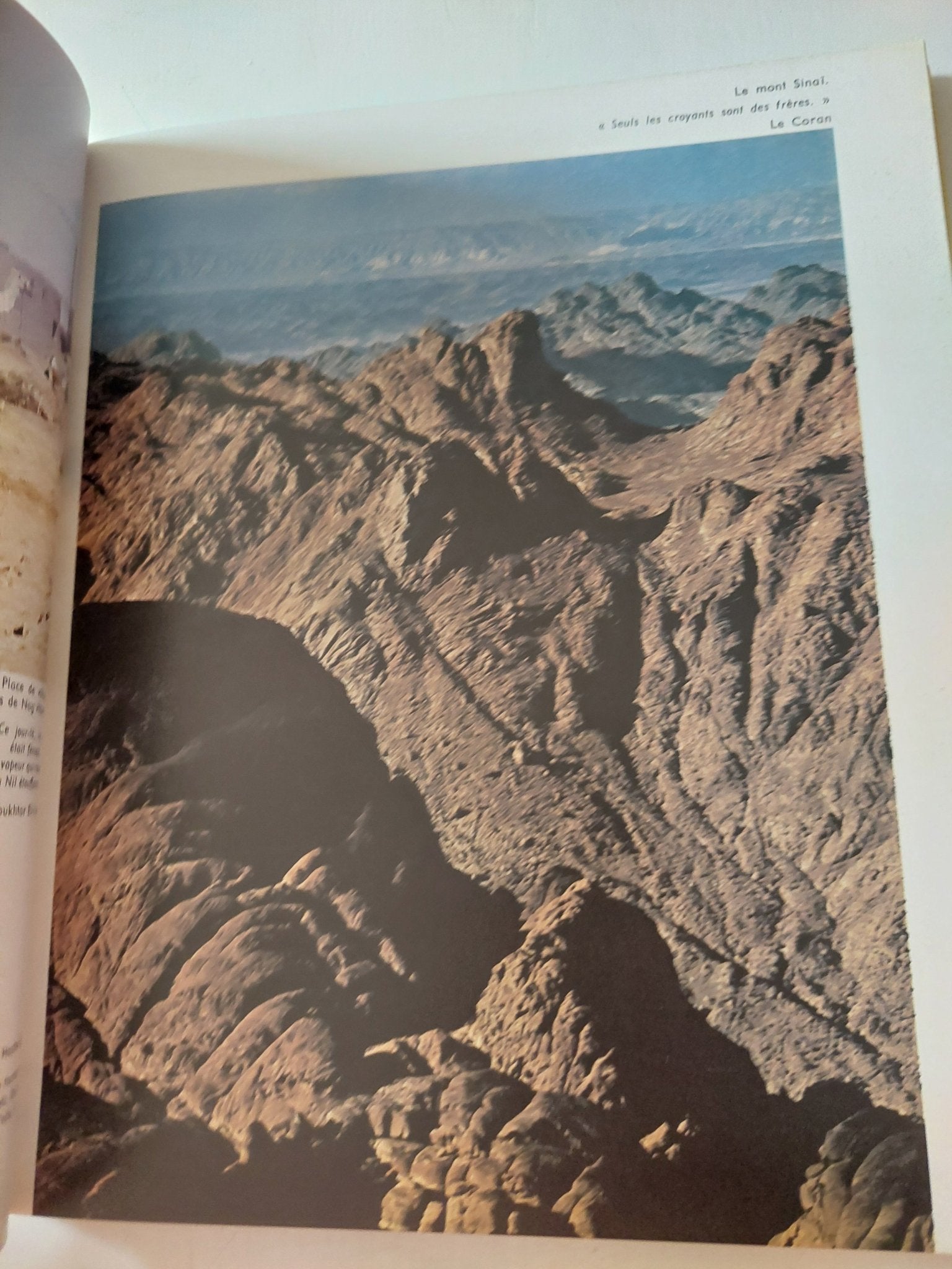 L'Egypte - هارد كفر قطع كبير - متجر كتب مصر - متجر كتب مصر