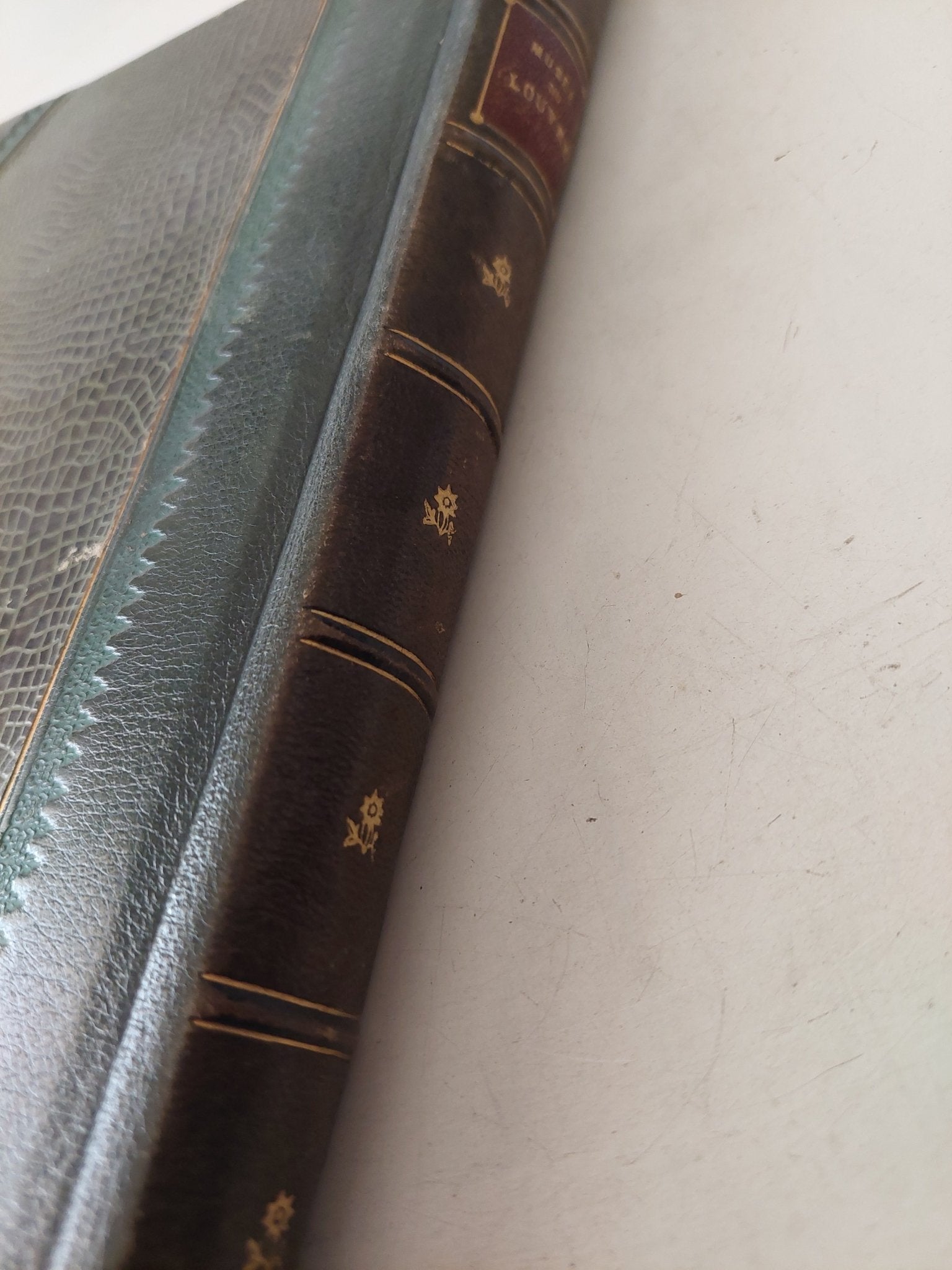 Les Chefs D'Oeuvre du Musee du Louvre - هارد كفر ملحق بالصور/ قطع كبير (نوادر) - متجر كتب مصرمتجر كتب مصر