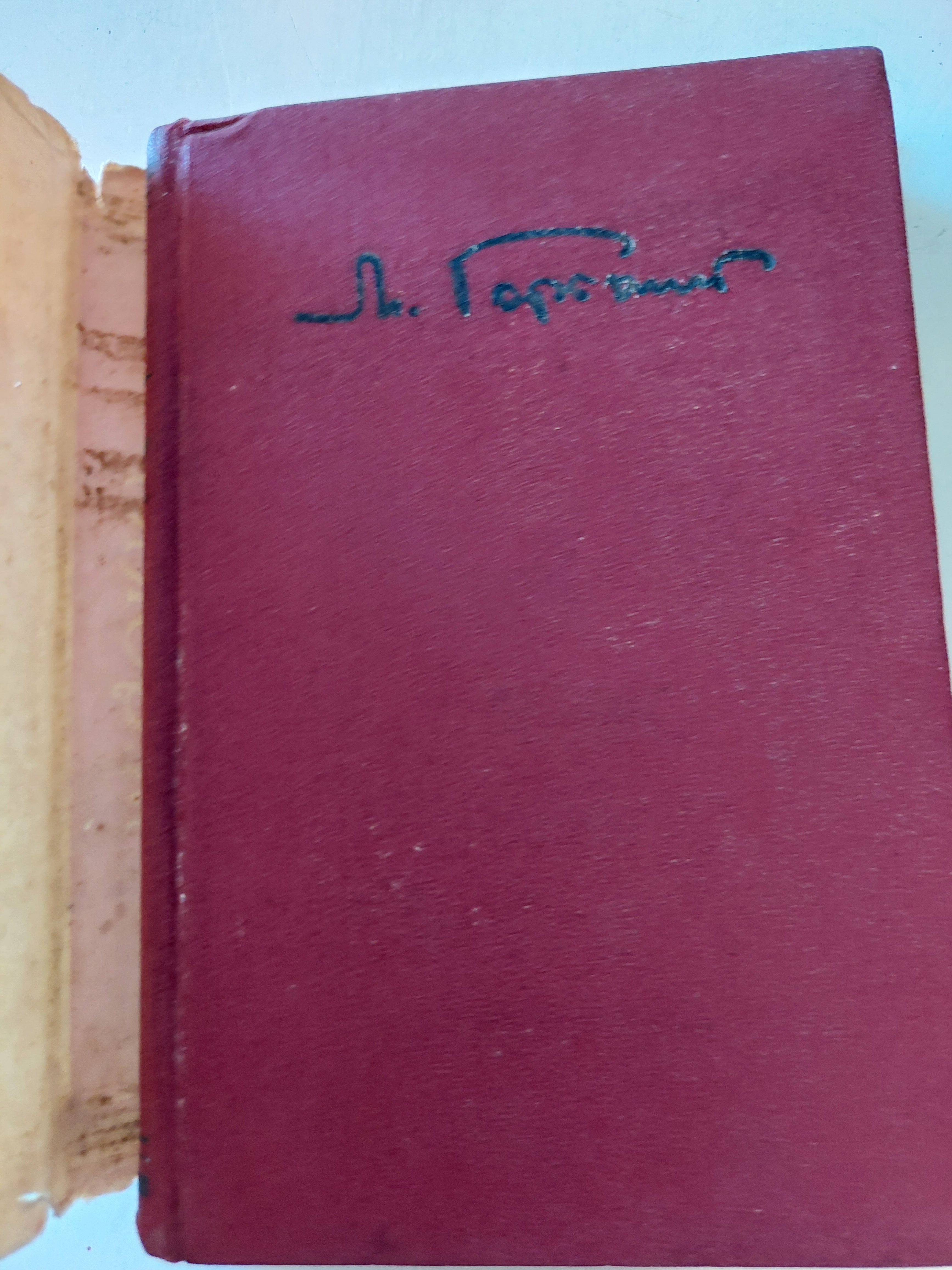 Literary Portraits / M Gorky - ملحق بالصور / هارد كفر - متجر كتب مصر - متجر كتب مصر