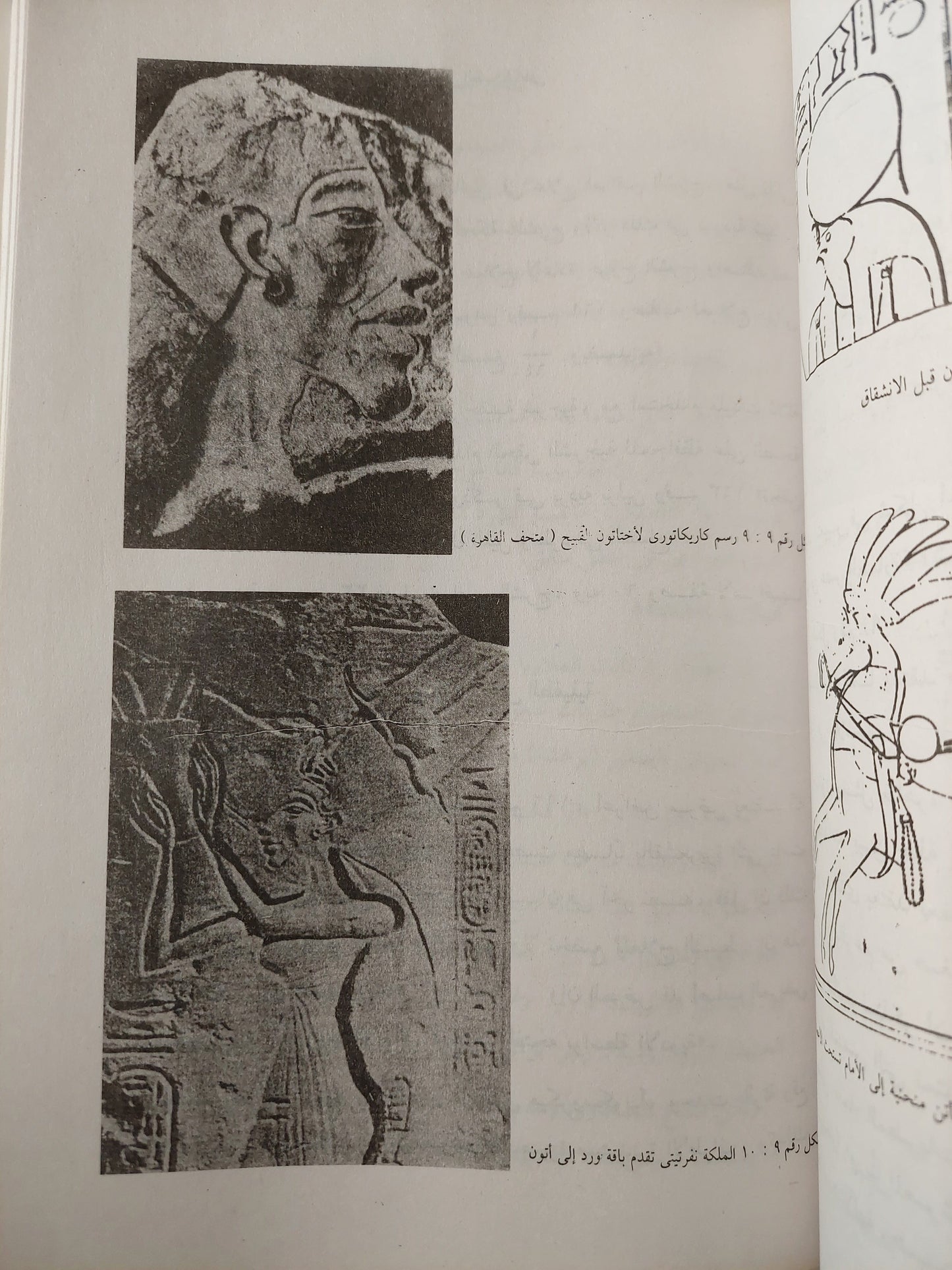 الطب المصري في عصر الفراعنة كتاب المكتبة الفلسفية 