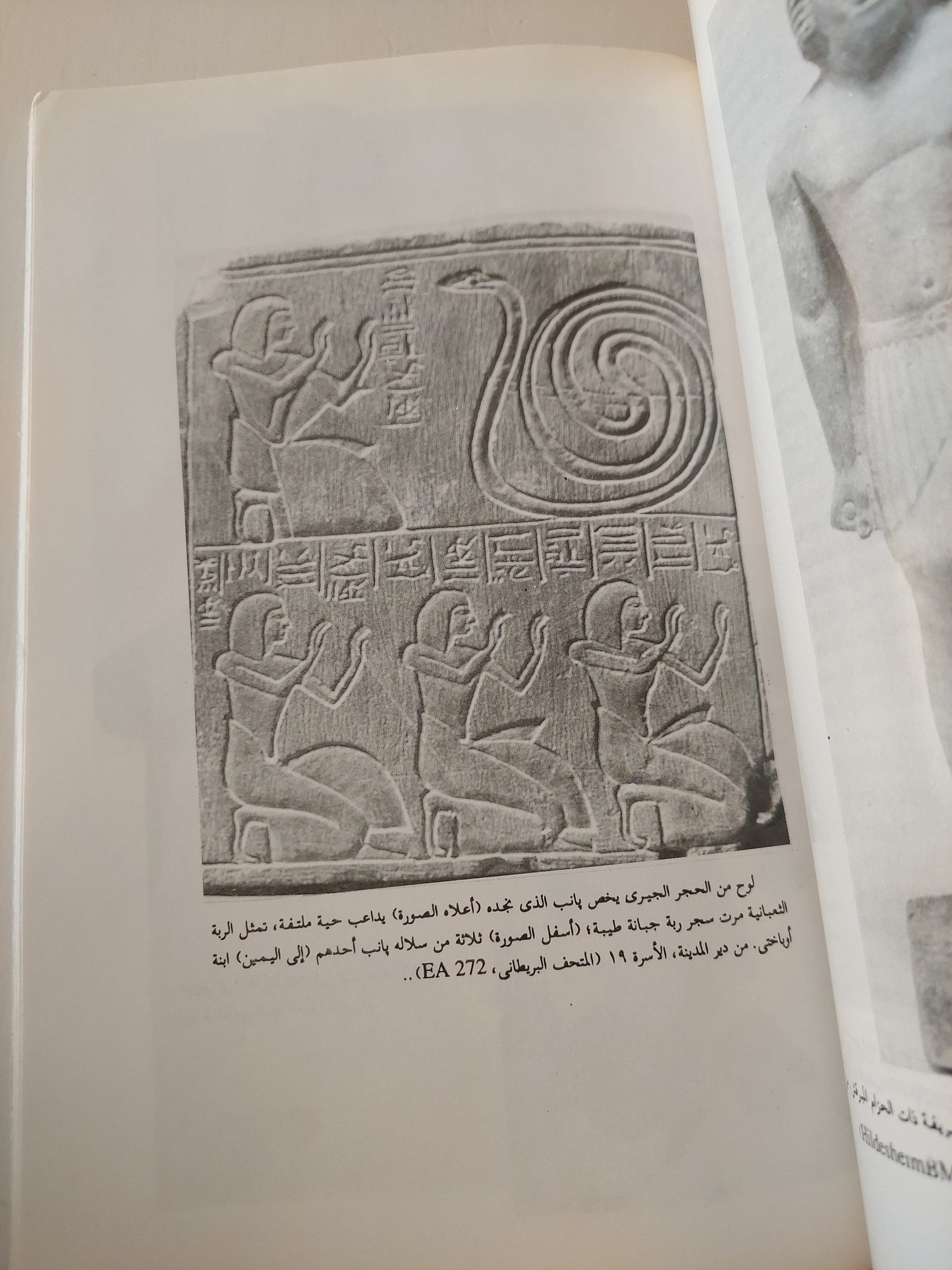 الطفل المصري القديم كتاب المكتبة الفلسفية 