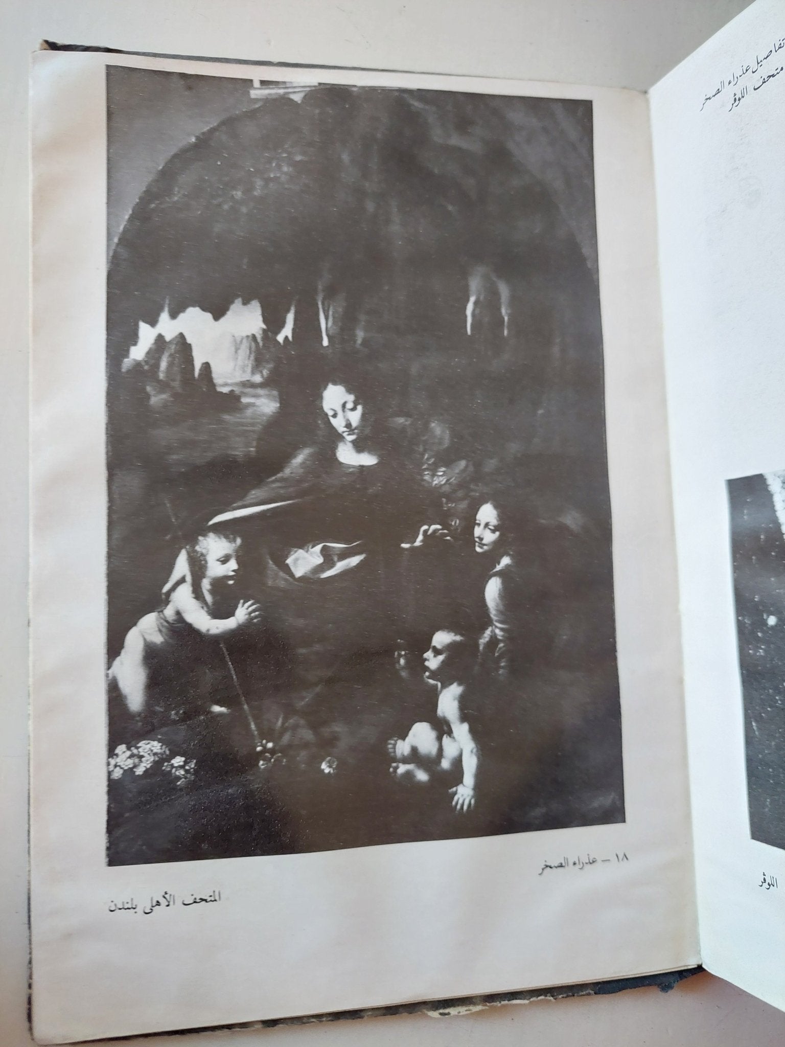 ليوناردو دافنشى / أحمد محمد يوسف - هارد كفر ملحق بالصور - متجر كتب مصر - متجر كتب مصر