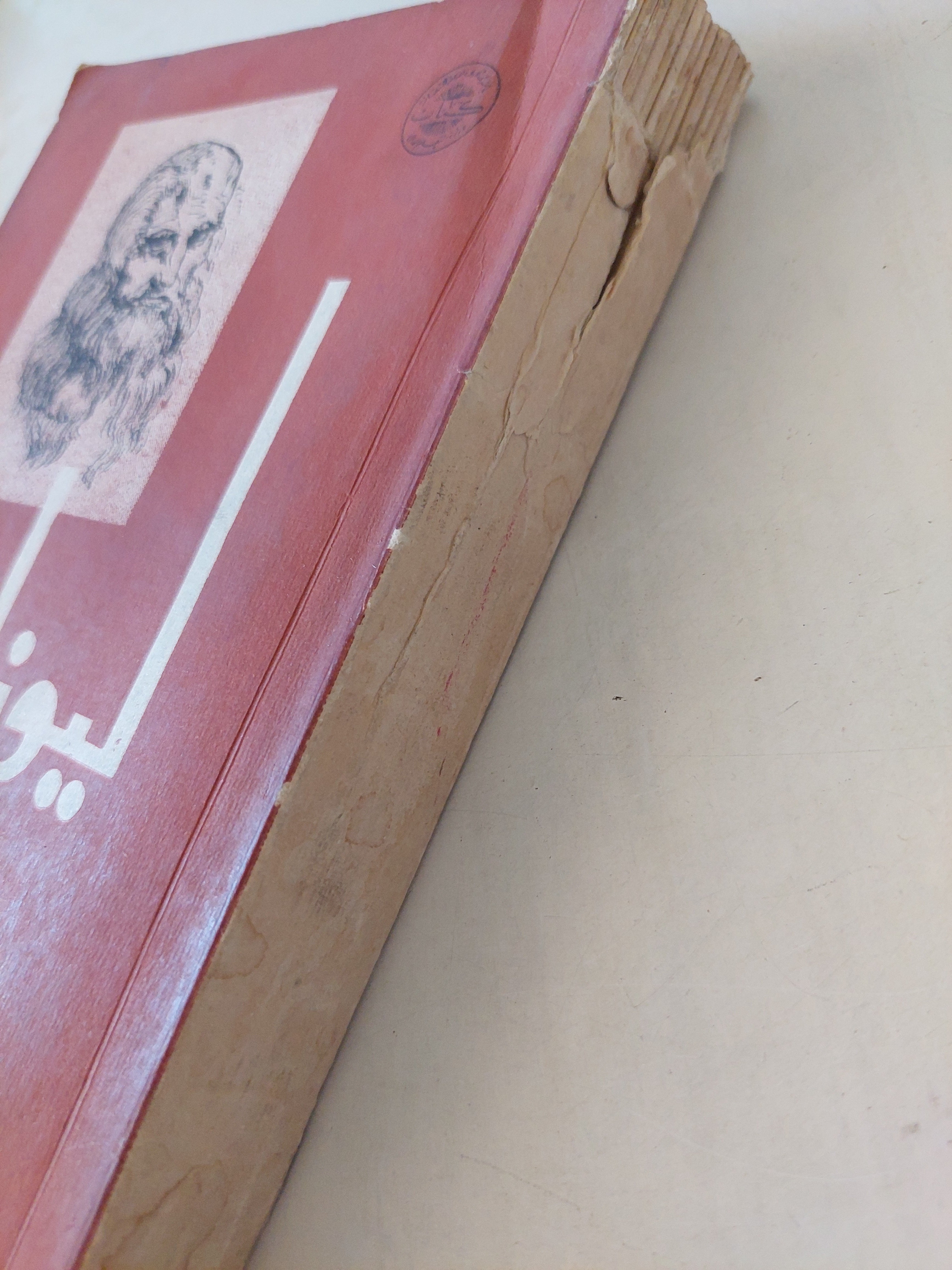 ليوناردو / إدموند وسولمى - ملحق بالصور - متجر كتب مصر - متجر كتب مصر