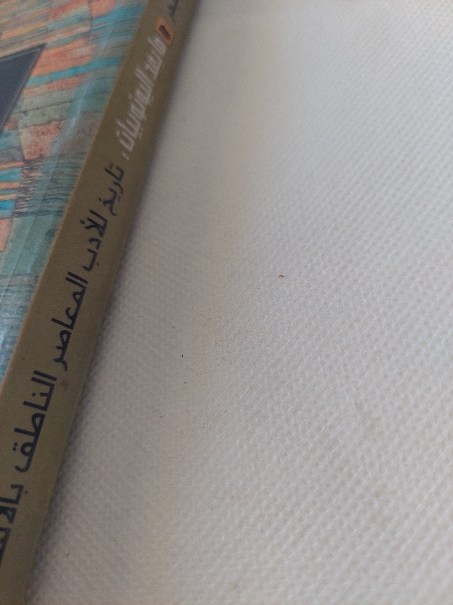 ما بعد اليوتوبيات / هلموت بوتيجر - متجر كتب مصر - المكتبة الفلسفية