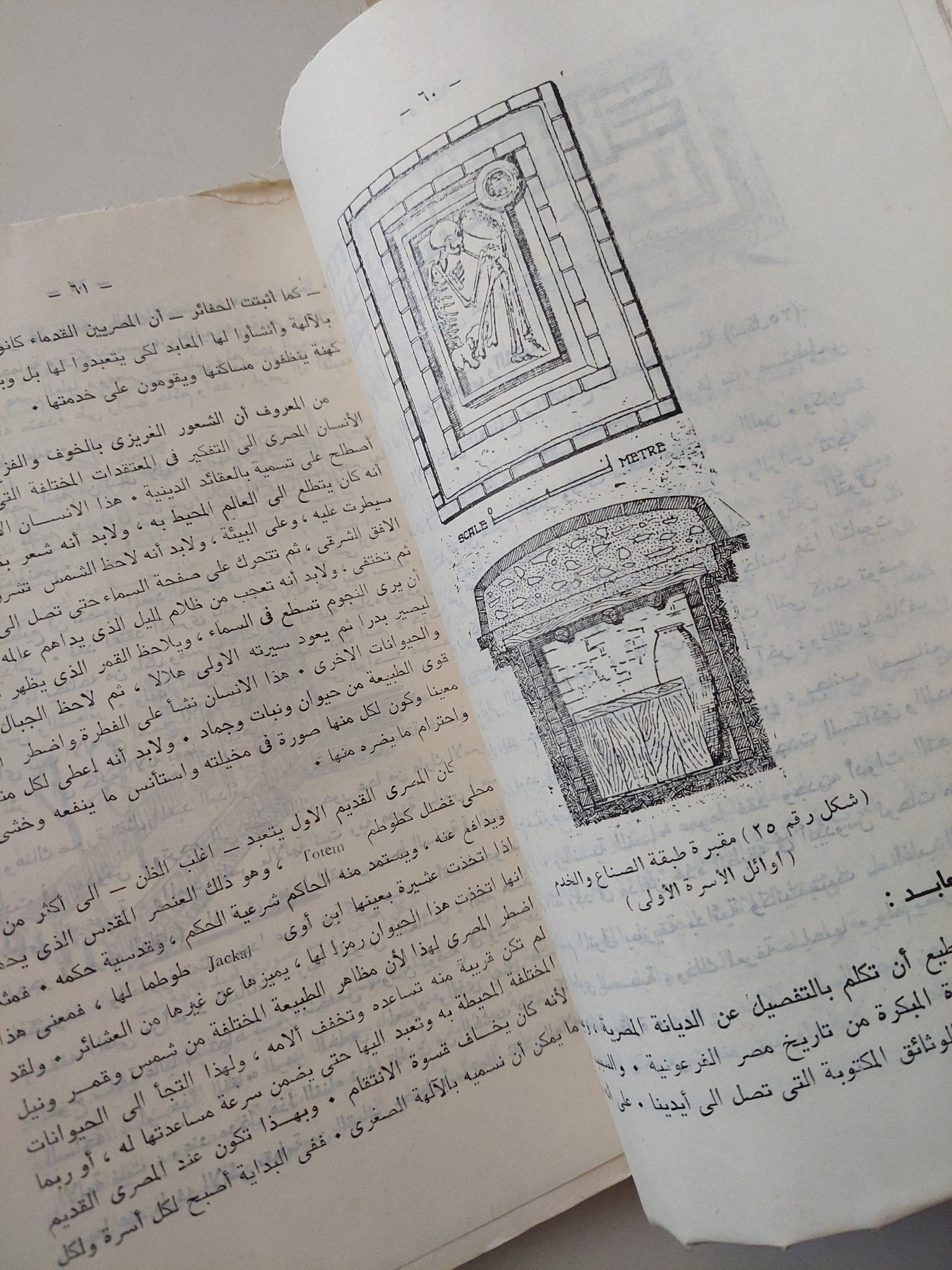 معالم تاريخ حضارة مصر الفرعونية / سيد توفيق - ملحق بالصور - متجر كتب مصر - متجر كتب مصر
