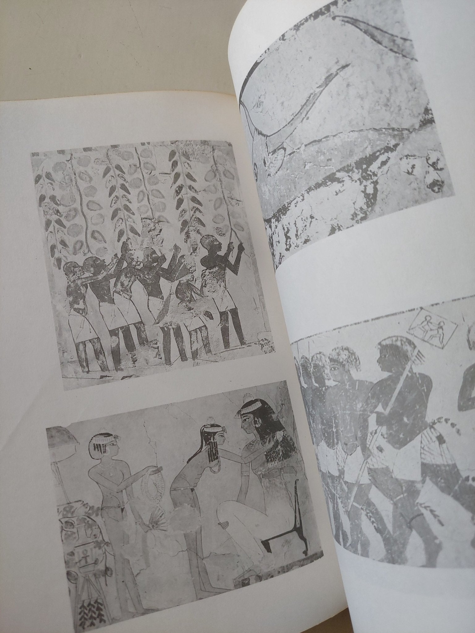 معجم الحضارة المصرية القديمة - متجر كتب مصر - متجر كتب مصر