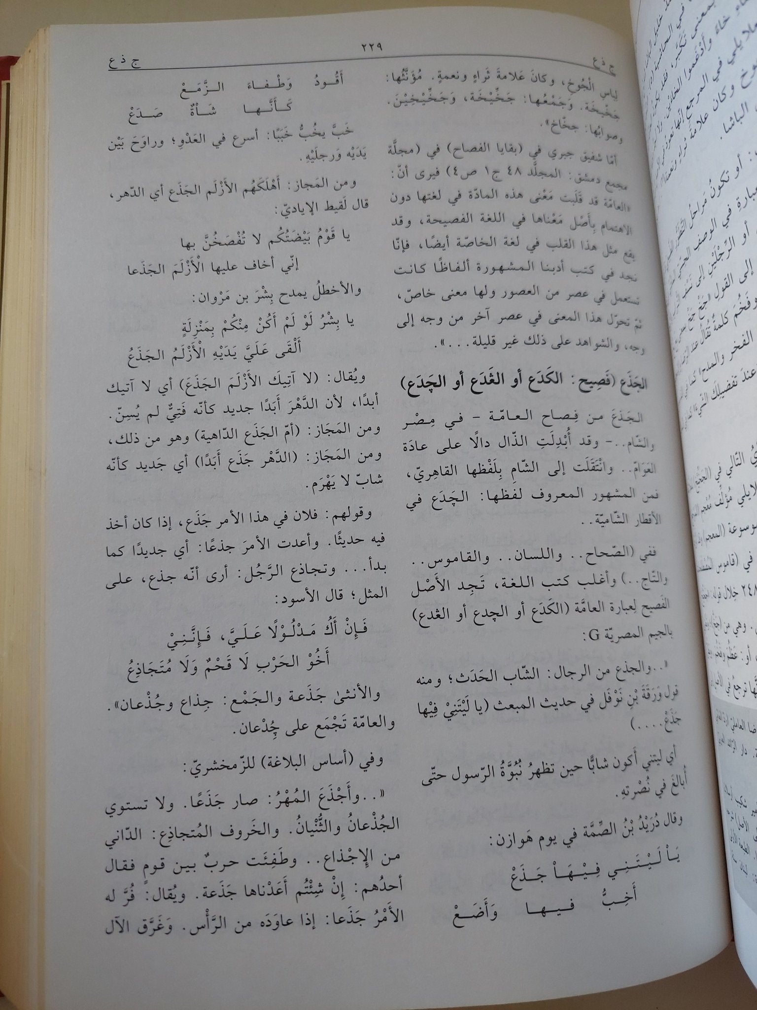 معجم فصاح العامية / هشام النحاس - هارد كفر - متجر كتب مصر - المكتبة الفلسفية