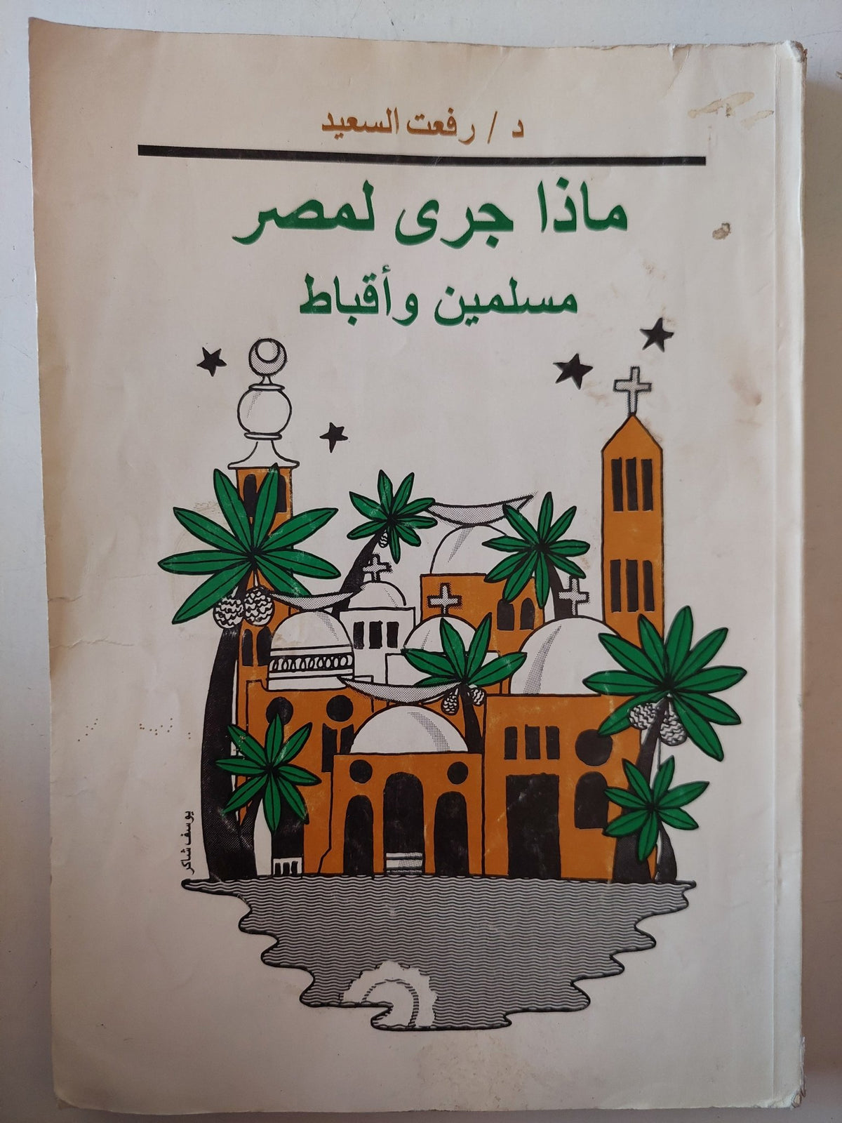 ماذا جرى لمصر مسلمين وأقباط / رفعت السعيد - متجر كتب مصر - متجر كتب مصر