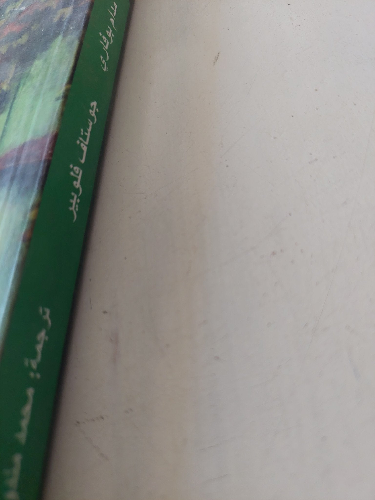 مدام بوفارى / جوستاف فلوبير - متجر كتب مصر - المكتبة الفلسفية