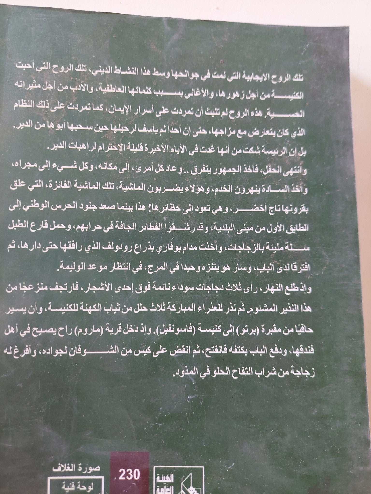 مدام بوفارى / جوستاف فلوبير - متجر كتب مصر - المكتبة الفلسفية