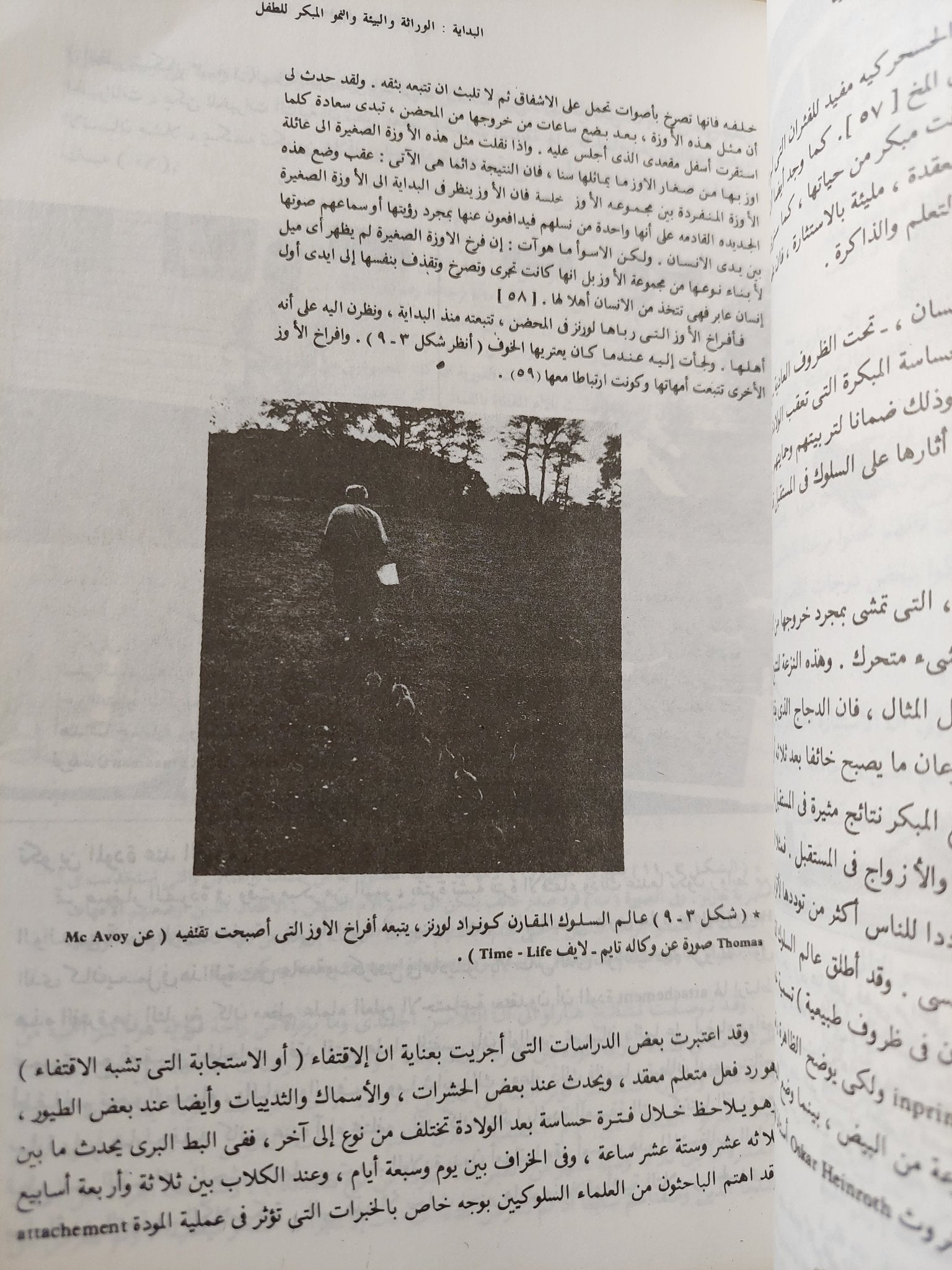 مدخل علم النفس / لندا دافيدوف - ملحق بالصور - متجر كتب مصر - متجر كتب مصر