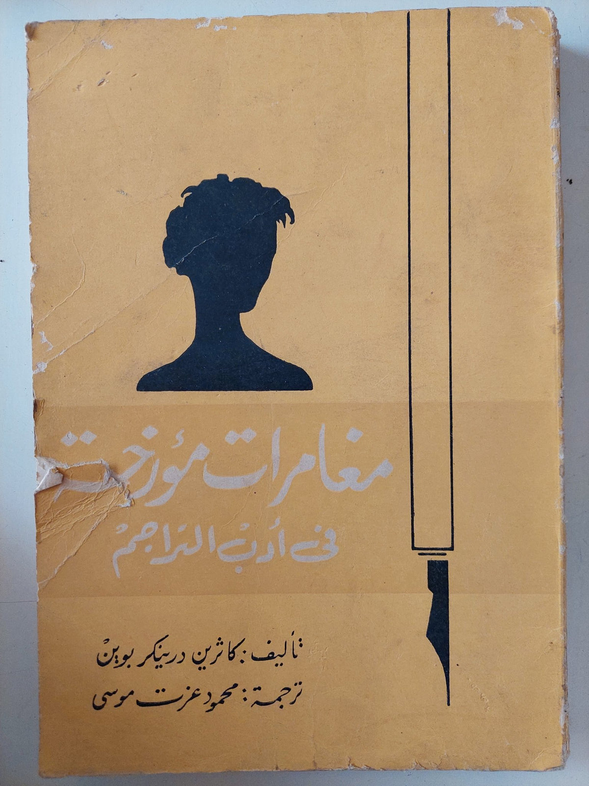مغامرات مؤرخة في أدب التراجم / كاثرين درينكر - متجر كتب مصر - متجر كتب مصر