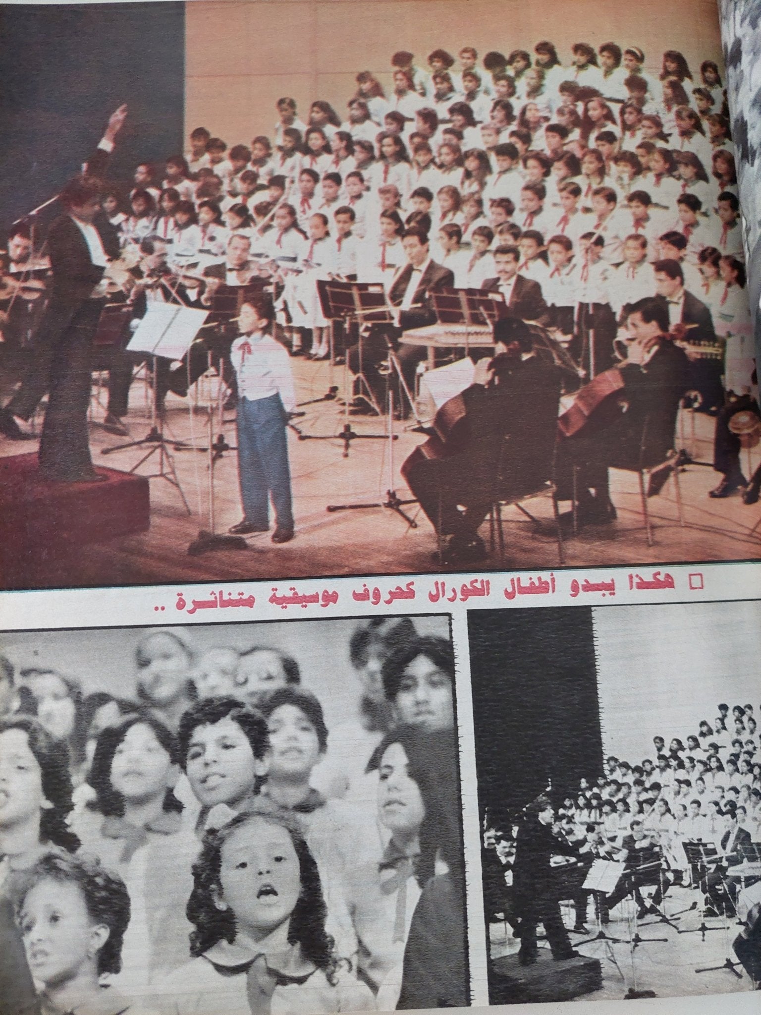 مجلة الإذاعة والتلفزيون .. الربع الأخير لعام 1989 - قطع كبير هارد كفر - متجر كتب مصر - المكتبة الفلسفية