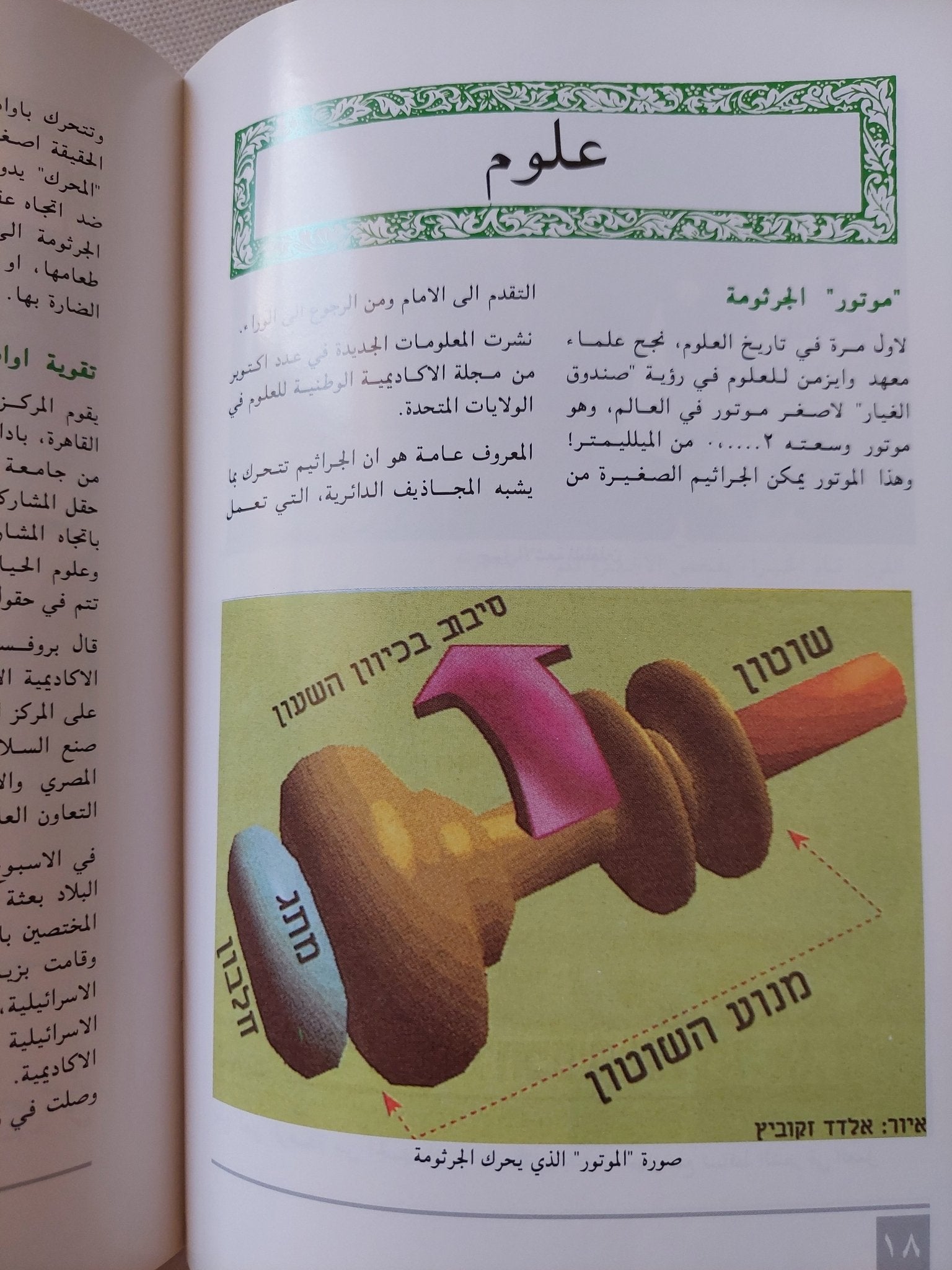 مجلة قوس قزح .. أنباء علمية ادبية وفنية من إسرائيل - ١١ جزء ملحق بالصور - متجر كتب مصر - متجر كتب مصر