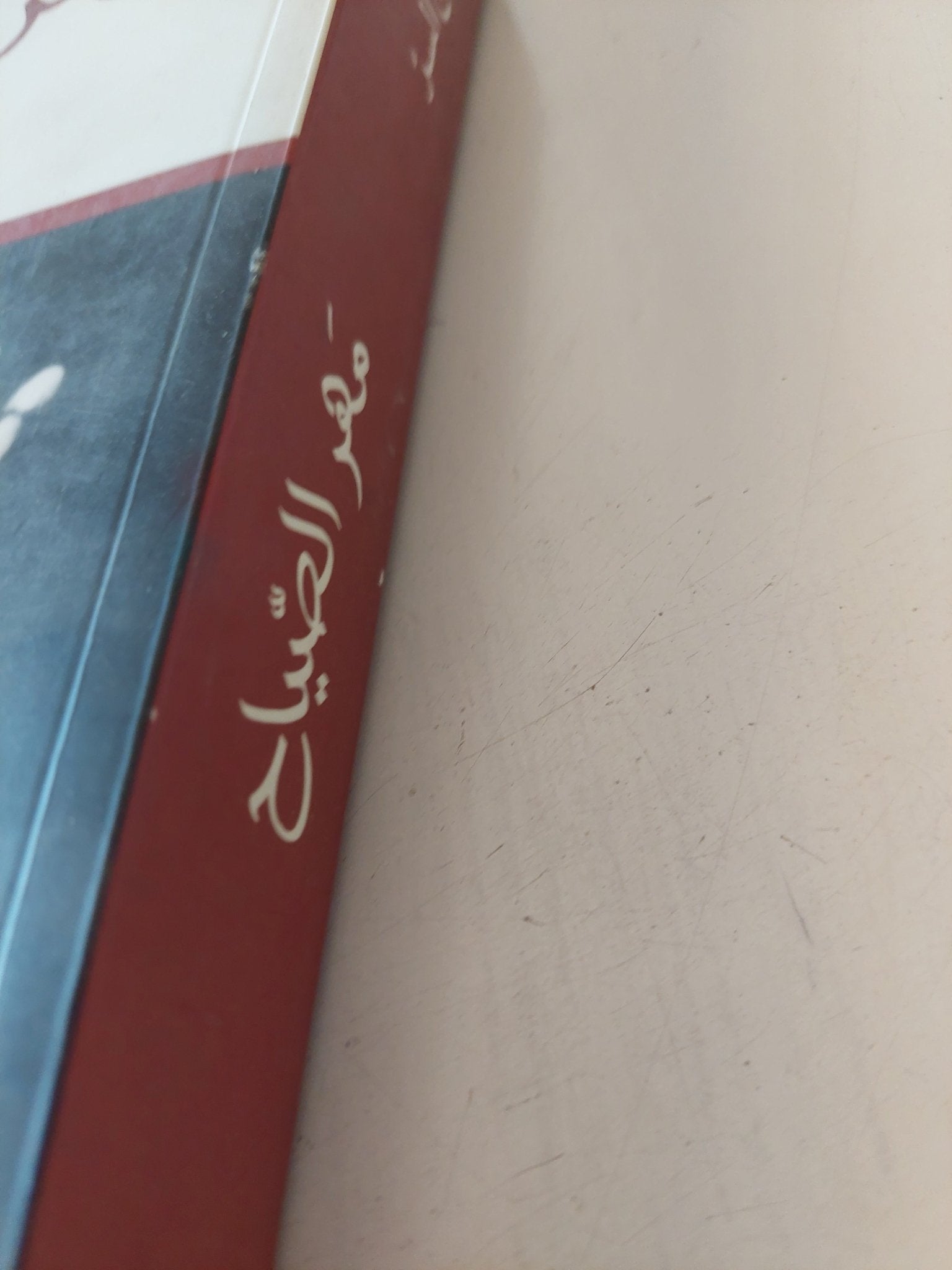 مهر الصياح / أمير تاج السر - متجر كتب مصر - المكتبة الفلسفية