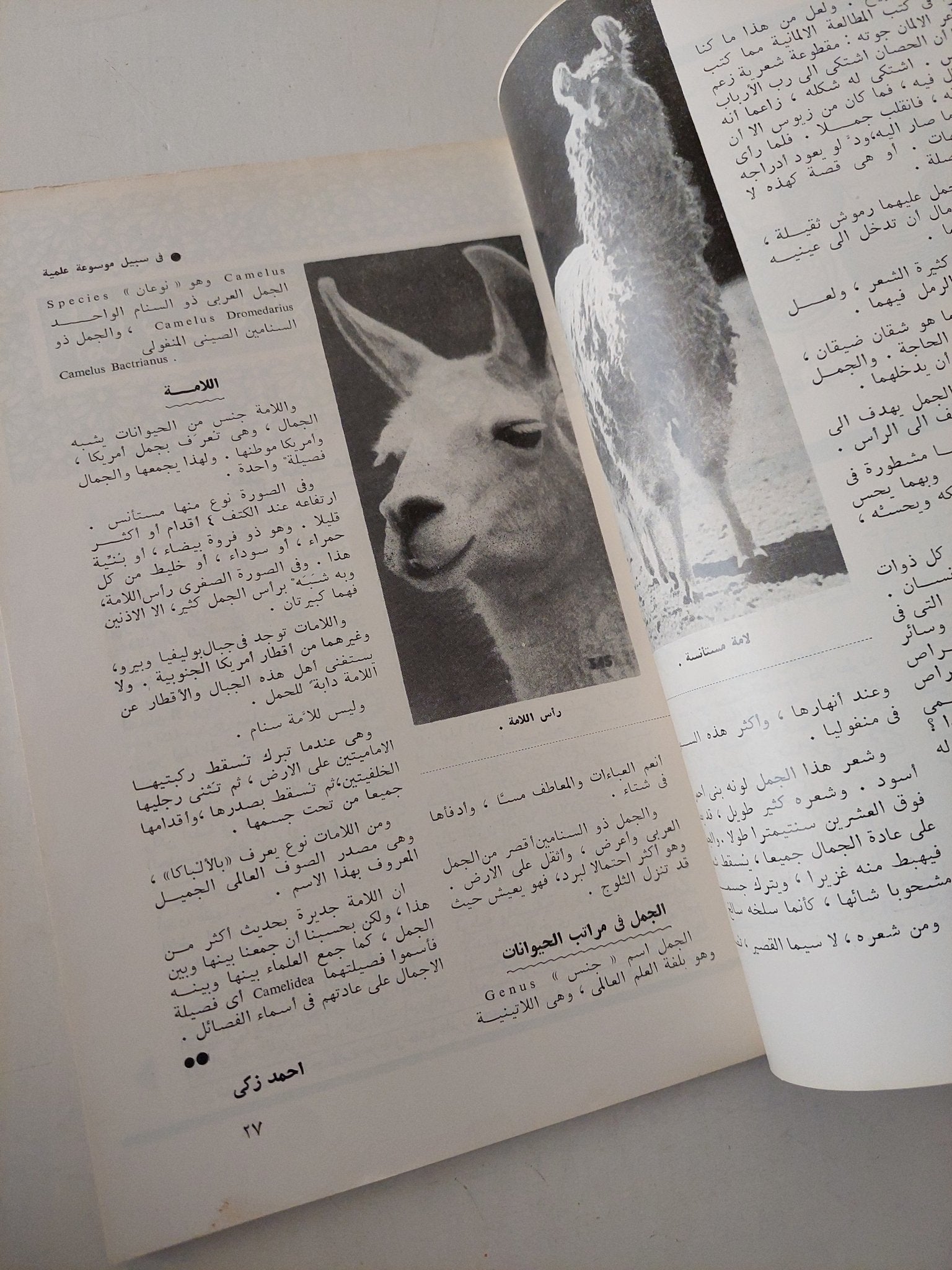 مجلة العربى .. العدد ١٠٠ مارس ١٩٦٧ .. الطالبة الكويتية فى جامعة الكويت حدث له أصداء بعيدة حميدة - متجر كتب مصر - متجر كتب مصر