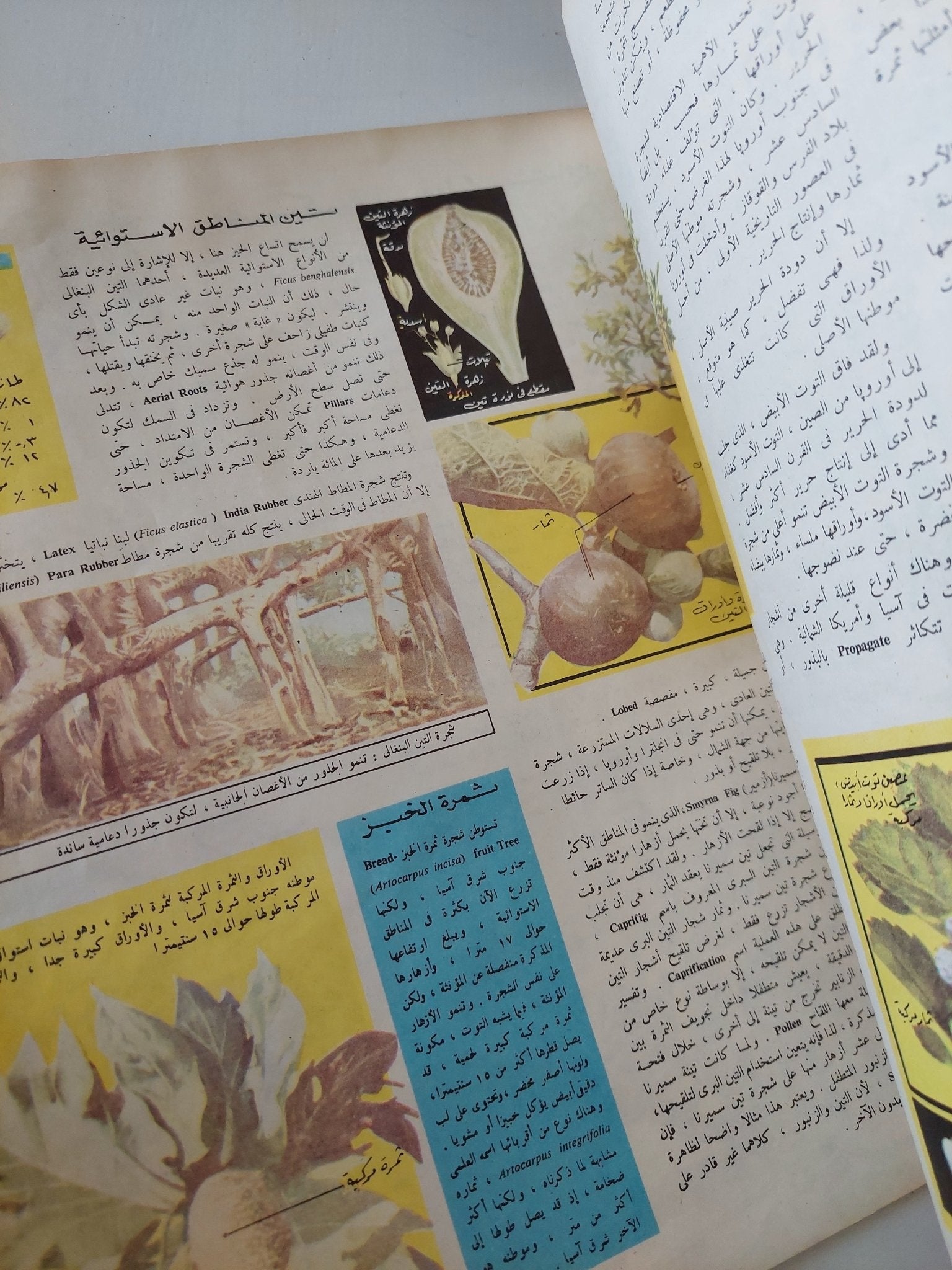 مجلة المعرفة .. العدد 175 السنة الرابعة 1/8/1974 - قطع كبير - متجر كتب مصر - متجر كتب مصر