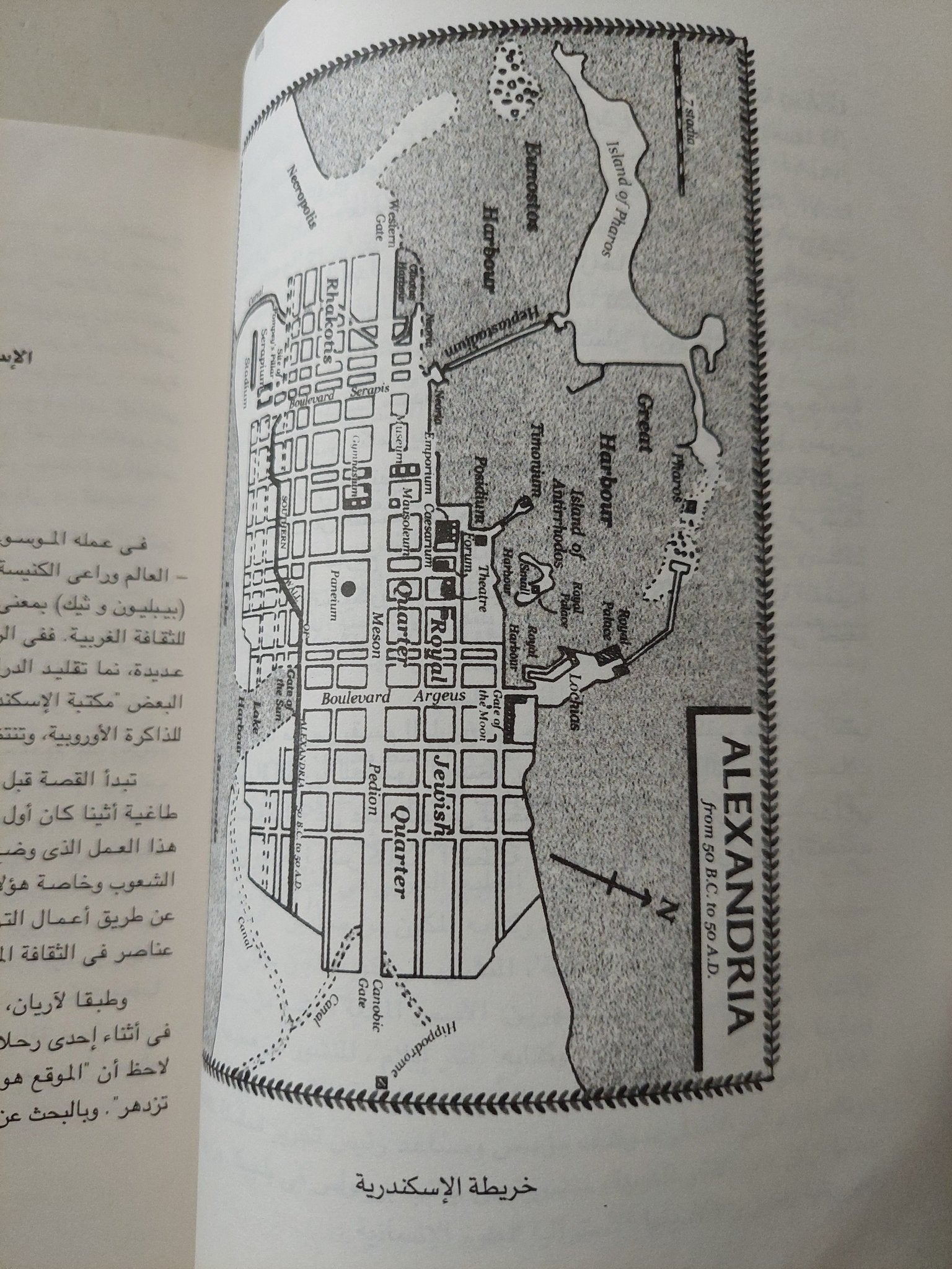 مكتبة الإسكندرية / روى ماكلويد - متجر كتب مصر - متجر كتب مصر