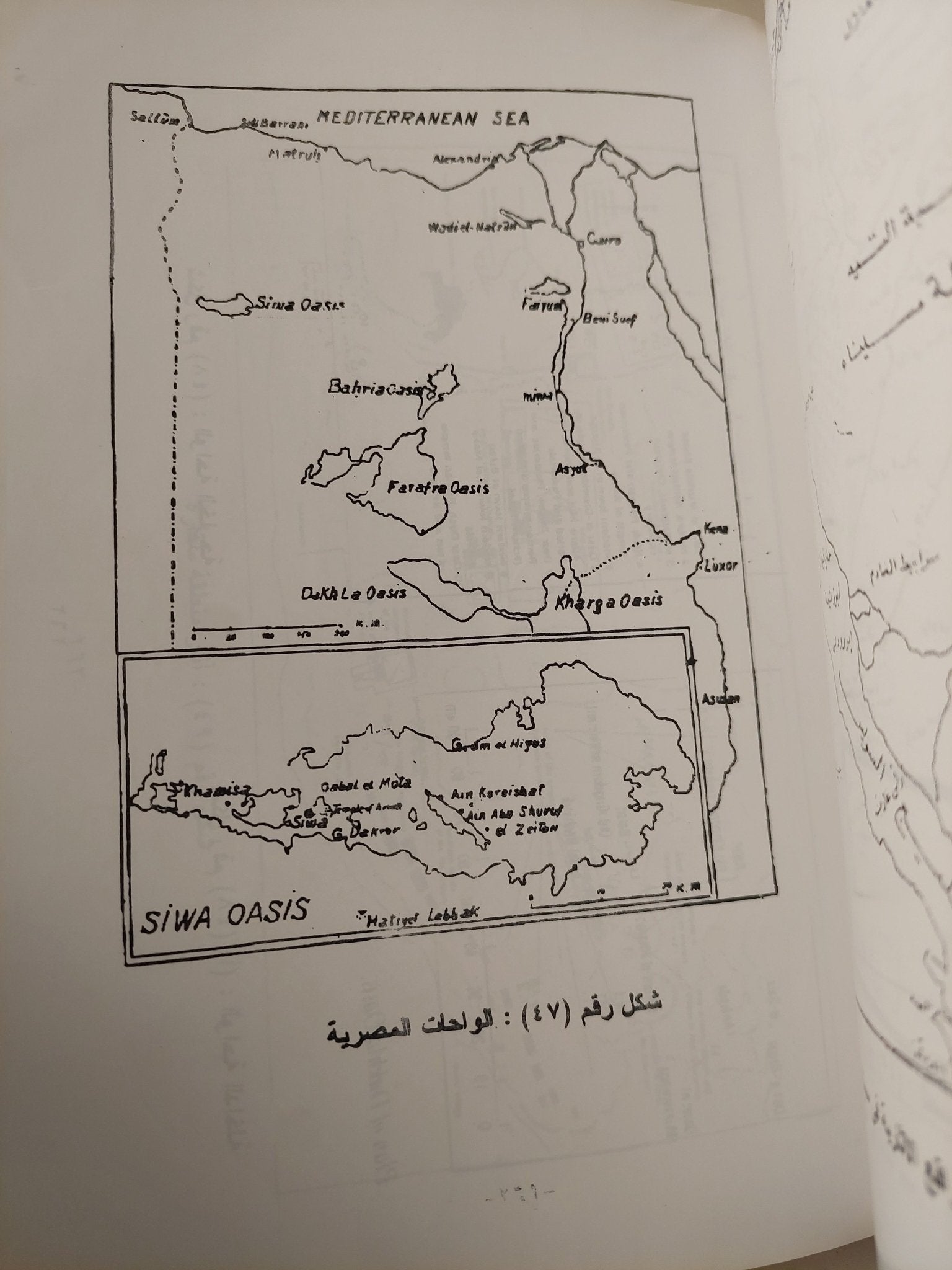مواقع الاثار اليونانية الرومانية فى مصر / عبد الحليم نور الدين - متجر كتب مصر - متجر كتب مصر