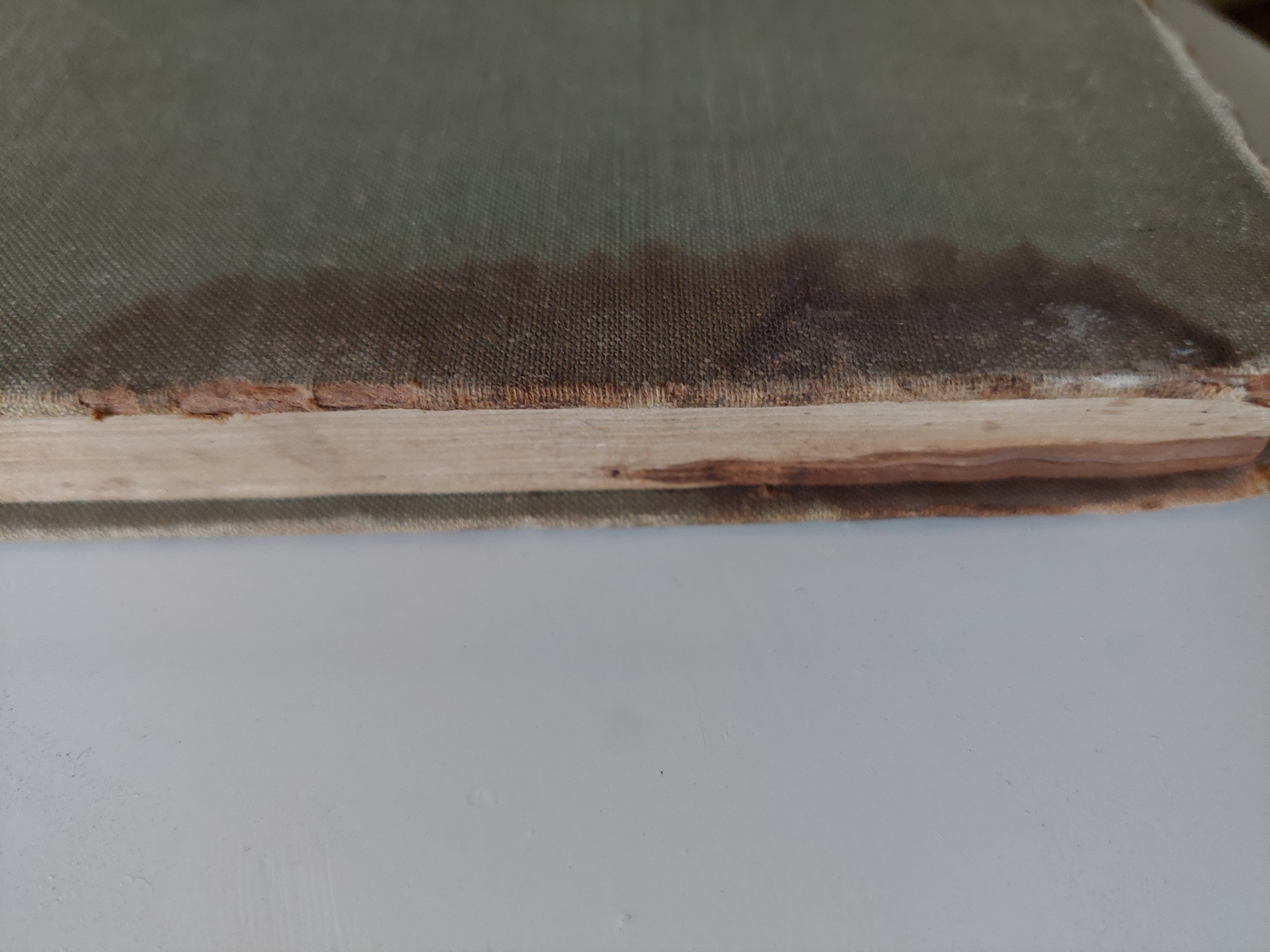 مولد إنسان وقصص مختارة / مكسيم غوركى - هارد كفر - متجر كتب مصر - متجر كتب مصر