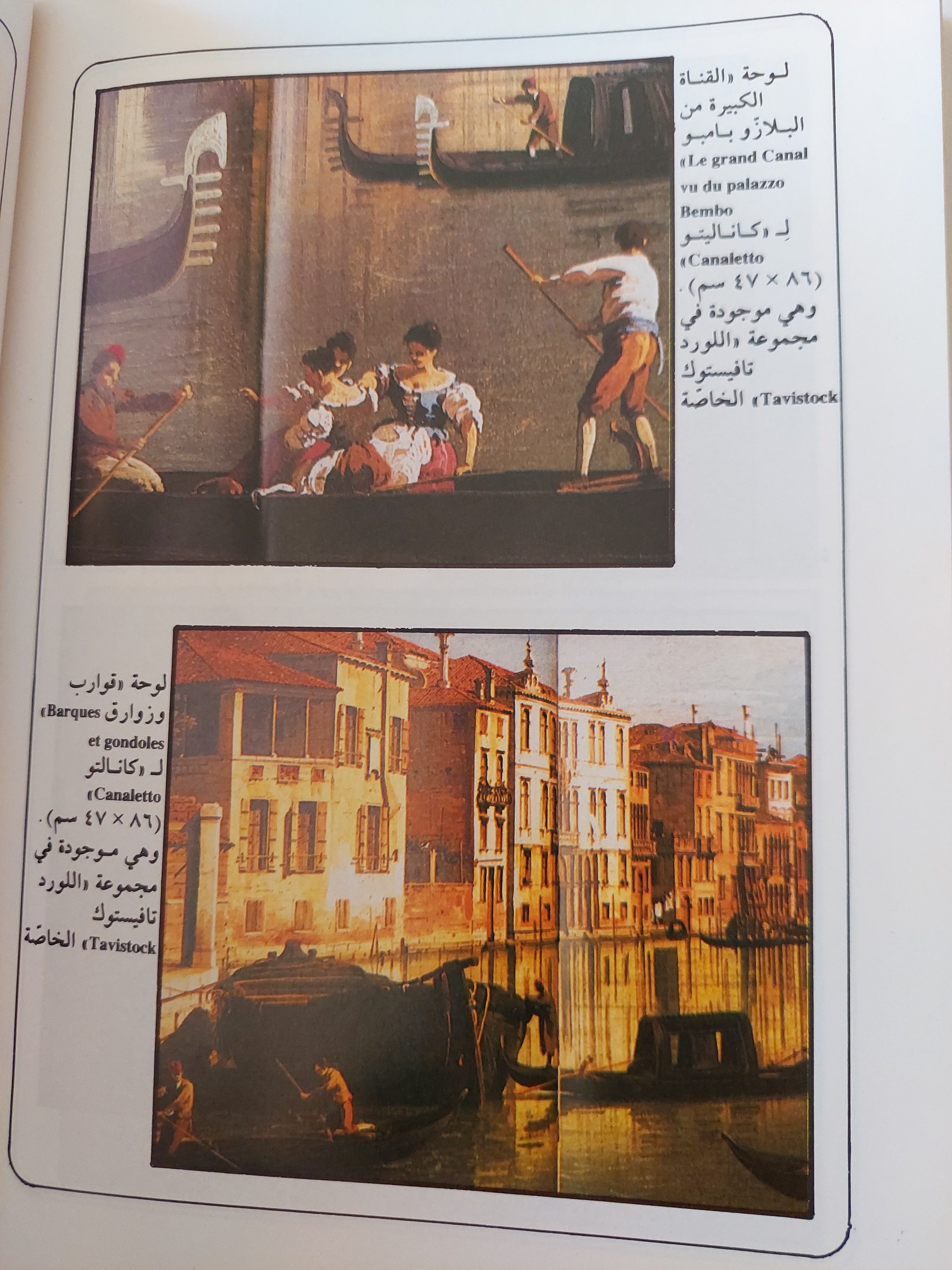 موسوعة أعلام الرسم العرب والأجانب / ليلى مليحة رياض - هارد كفر ملحق بالصور - متجر كتب مصر - متجر كتب مصر