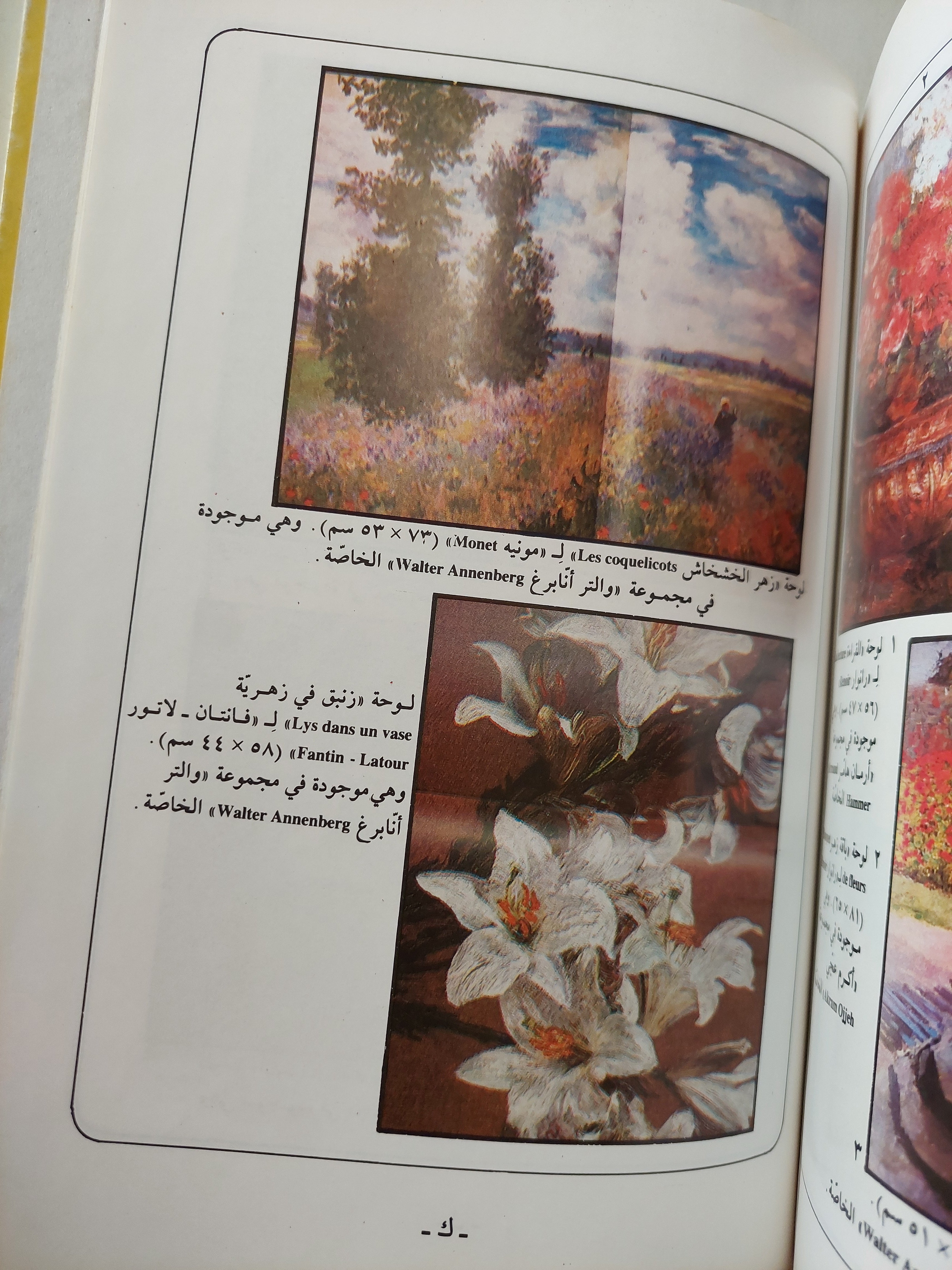 موسوعة أعلام الرسم العرب والأجانب / ليلى مليحة رياض - هارد كفر ملحق بالصور - متجر كتب مصر - متجر كتب مصر