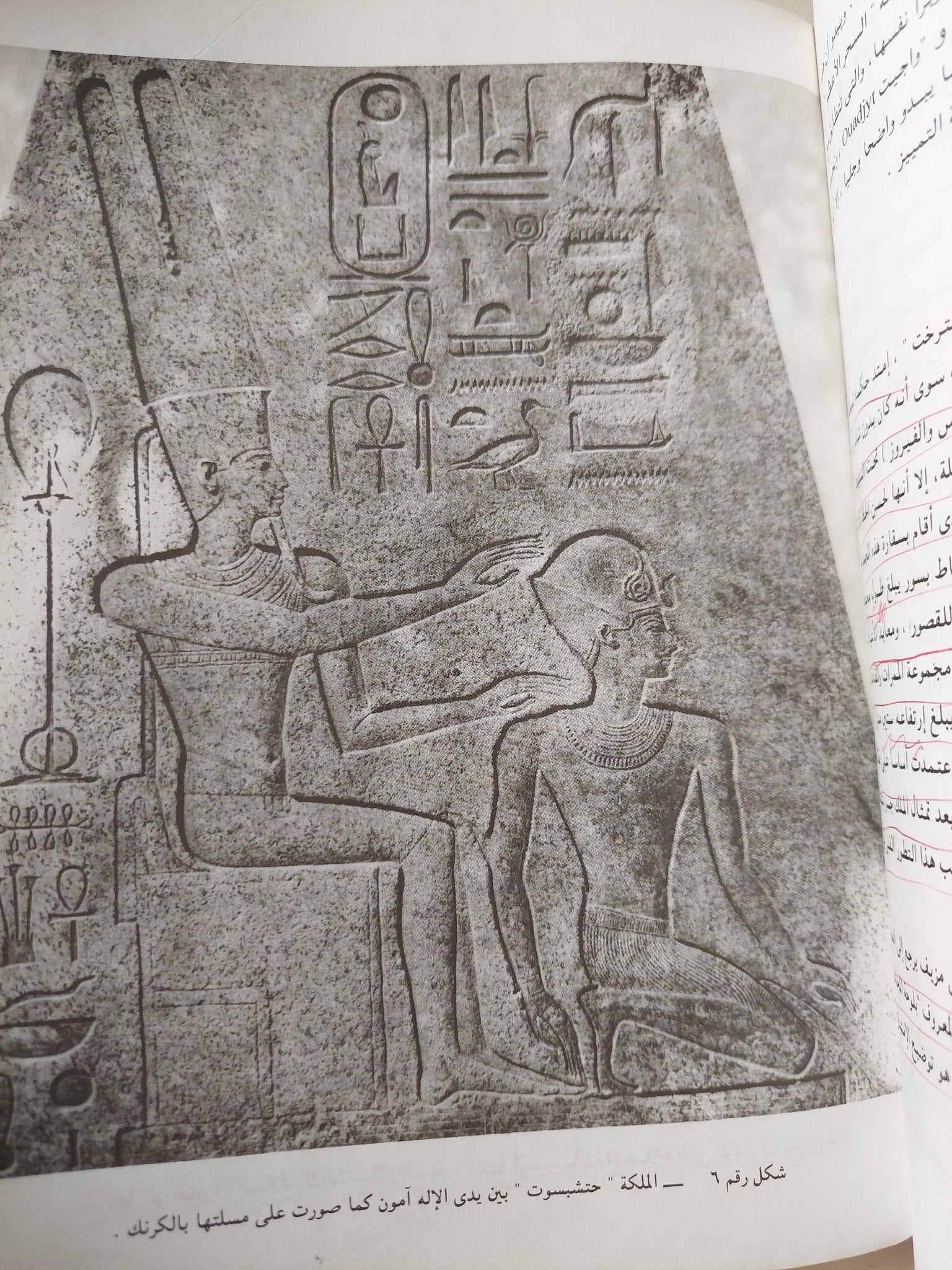 موسوعة الفراعنة / باسكال فيرنوس وان يوهوت - ملحق بالصور - متجر كتب مصر - متجر كتب مصر