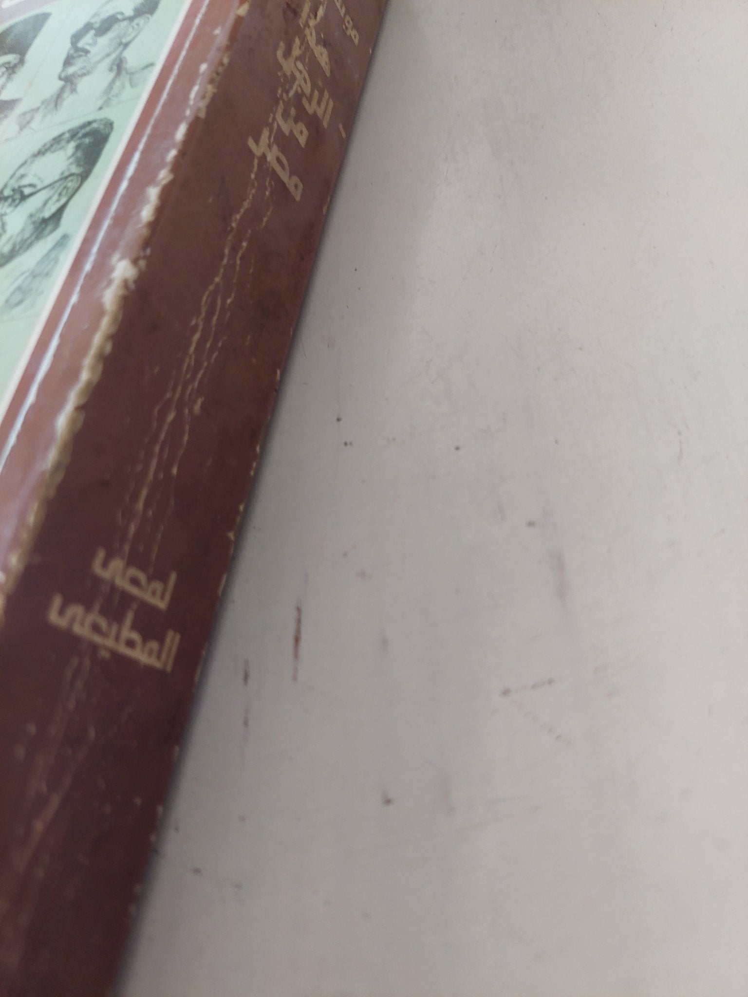 موسوعة هذا الرجل من مصر / لمعى المطيعى - متجر كتب مصر - متجر كتب مصر
