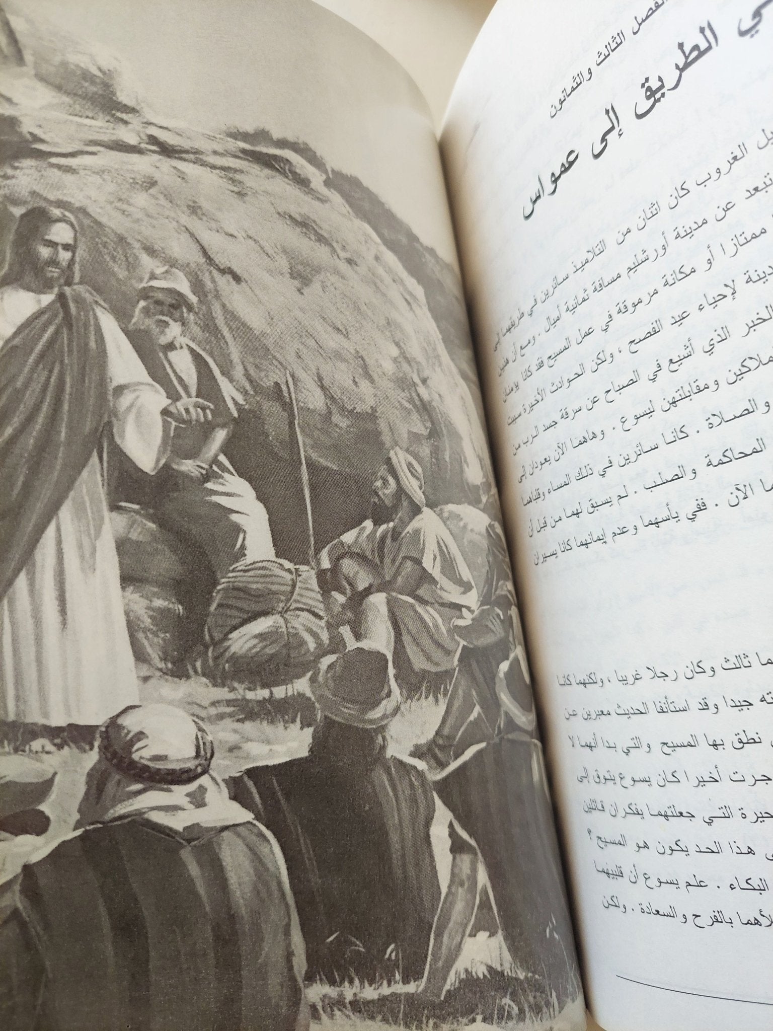 مشتهى الأجيال / إلن ج. هوايت - متجر كتب مصر - متجر كتب مصر