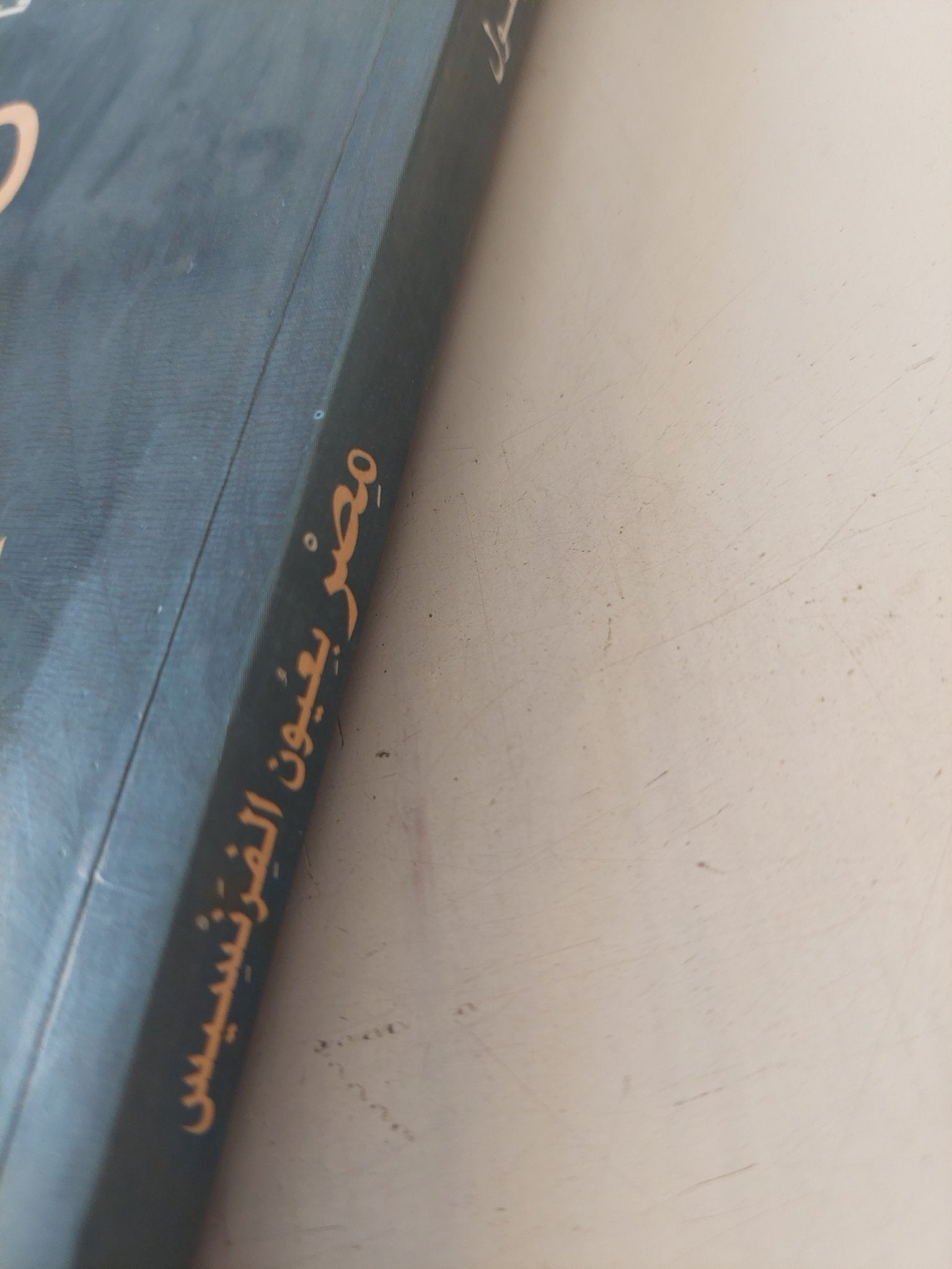 مصر بعيون الفرنسيس / فيصل جلول - متجر كتب مصر - المكتبة الفلسفية
