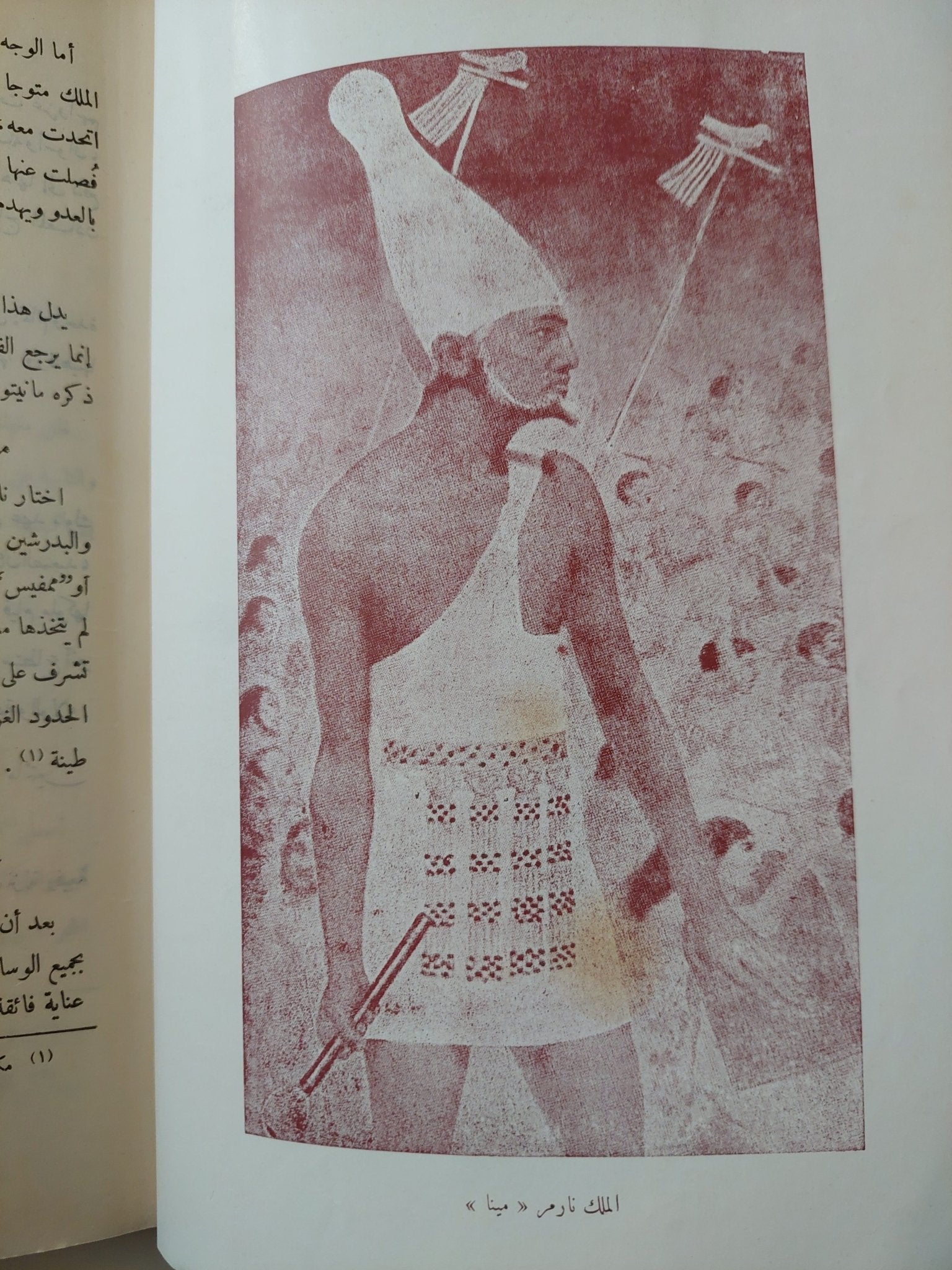مصر فى العصور القديمة / مجموعة من المؤلفين - ملحق بالصور ١٩٤٨ - متجر كتب مصر - متجر كتب مصر