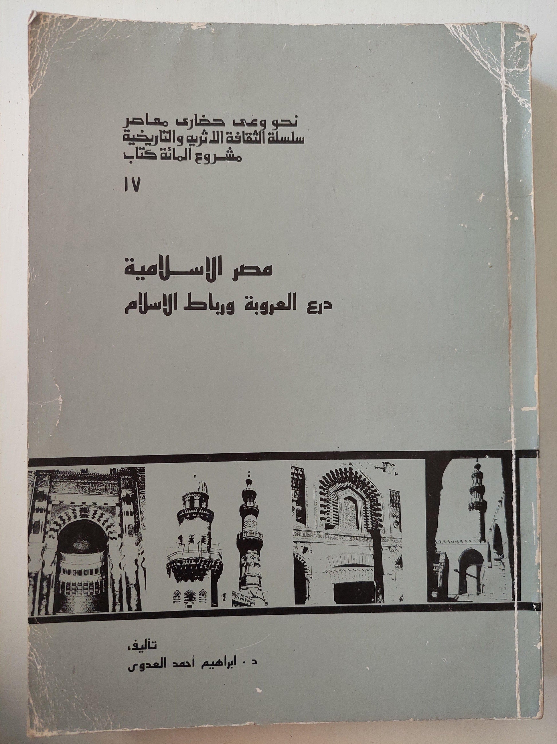 مصر الإسلامية .. درع العروبة ورباط الإسلام - متجر كتب مصر