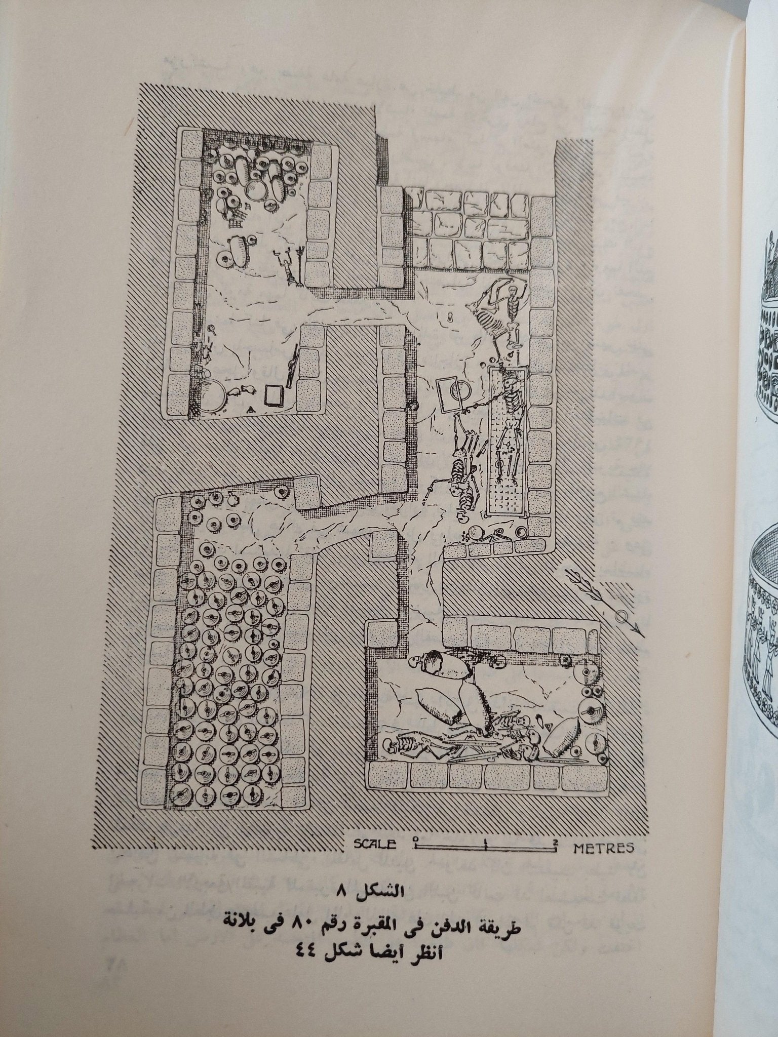 مصر وبلاد النوبة / مع ملحق خاص بالصور - متجر كتب مصر - متجر كتب مصر