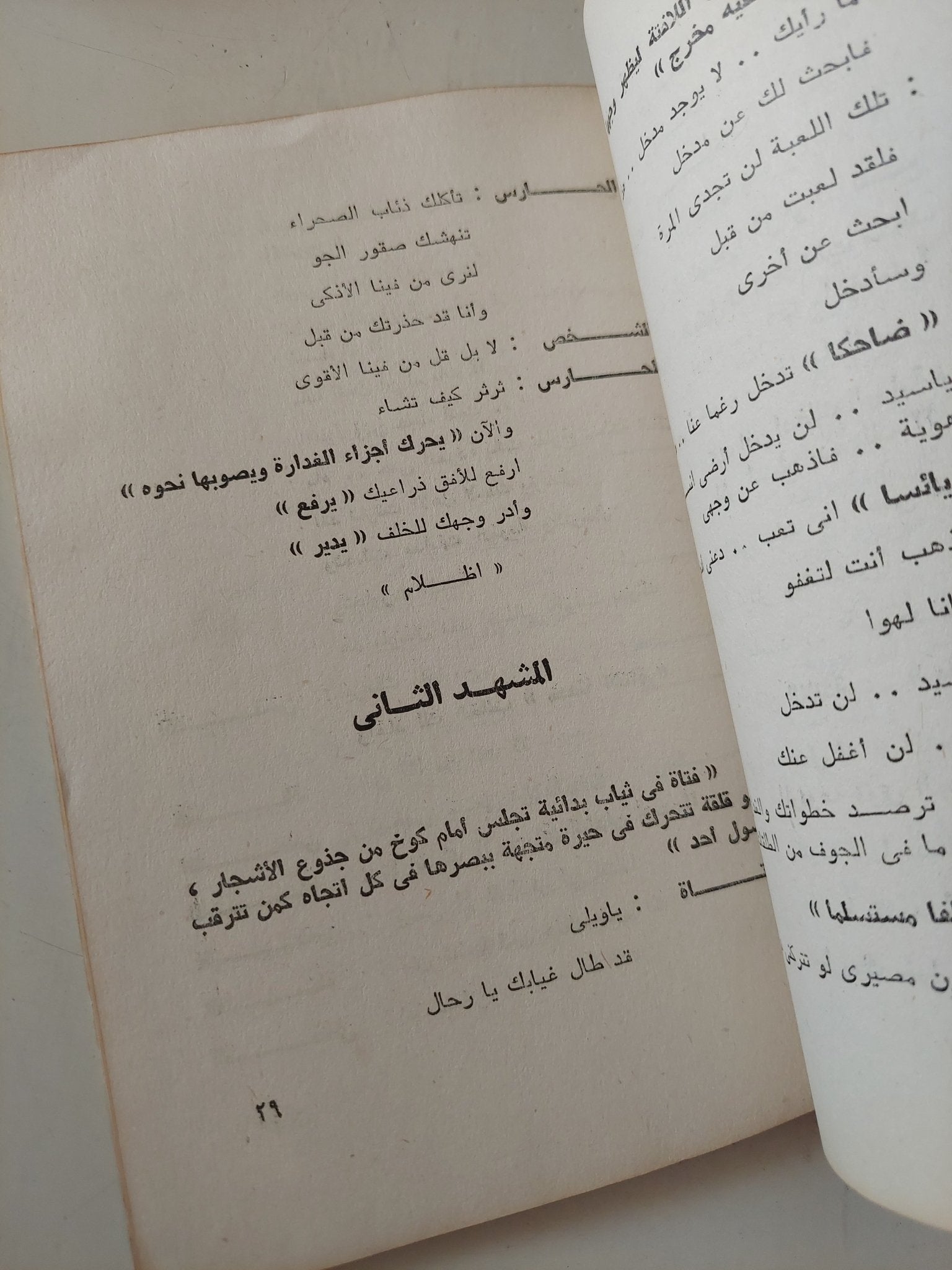 مسرحية تأشيرة خروج ومحاكمة المغنى / إسماعيل عقاب - متجر كتب مصر - متجر كتب مصر