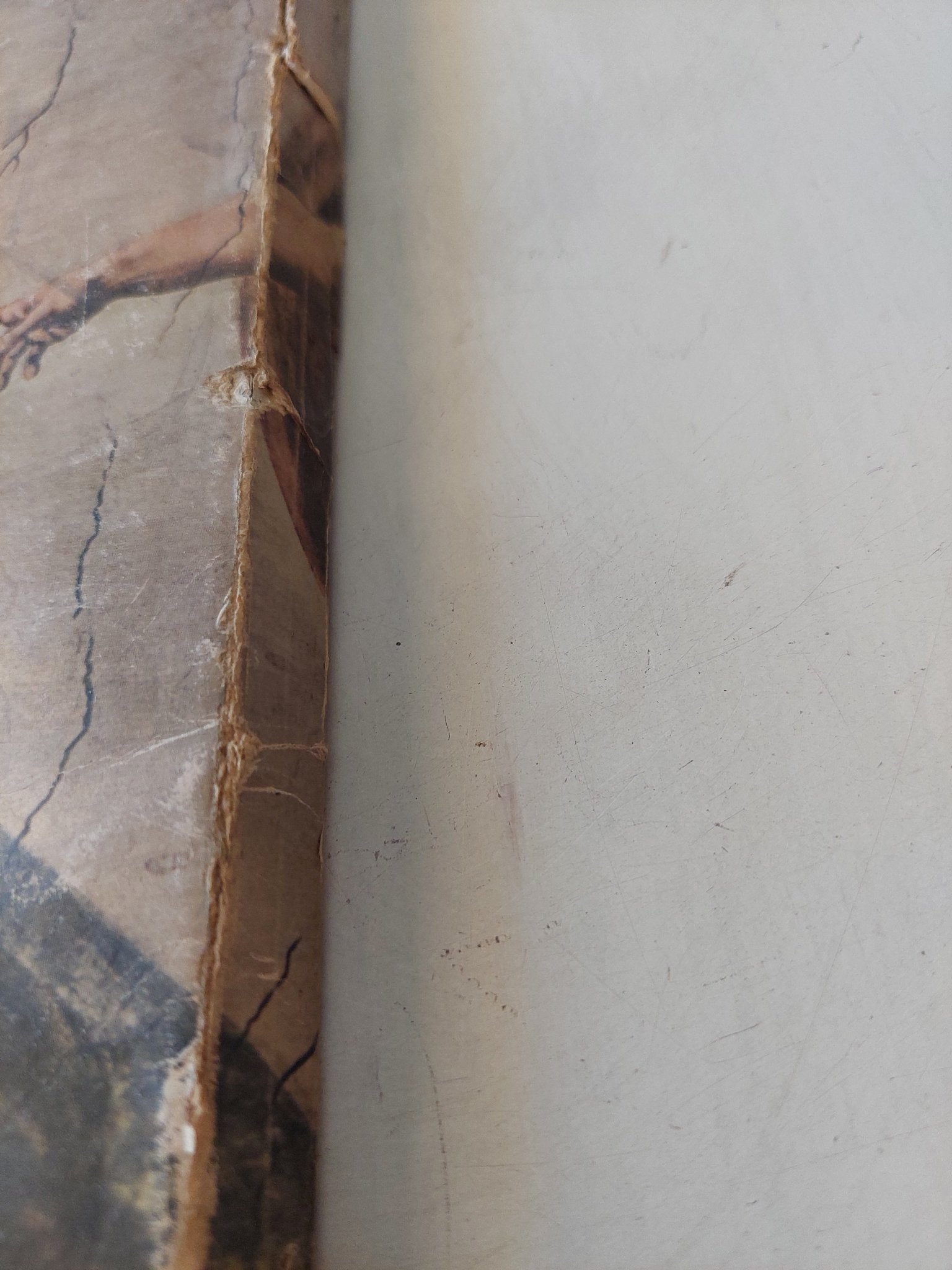 ميكلانجلو / ثروت عكاشة - قطع كبير ملحق بالصور - متجر كتب مصر - متجر كتب مصر