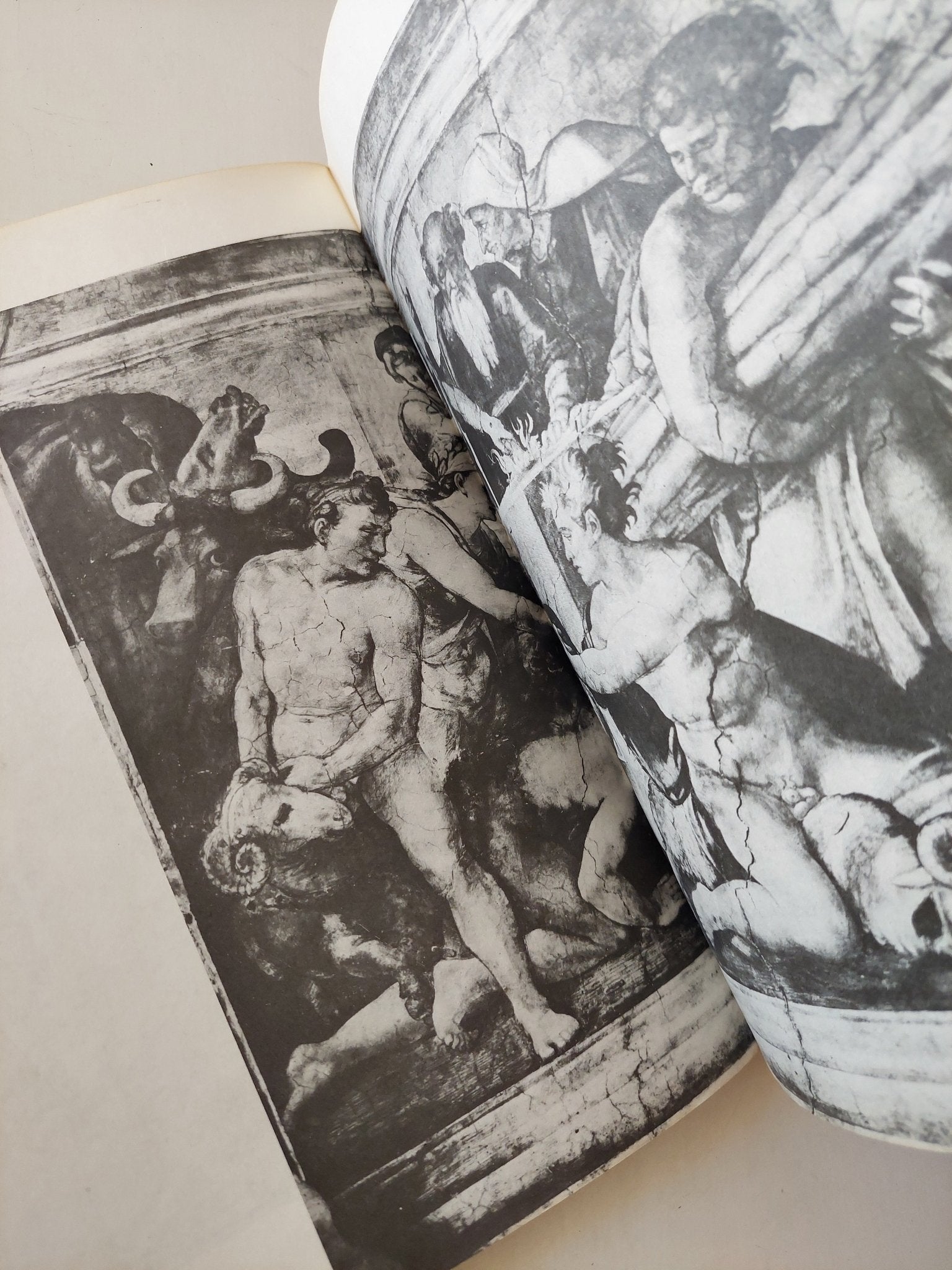 ميكلانجلو / ثروت عكاشة - قطع كبير ملحق بالصور - متجر كتب مصر - متجر كتب مصر